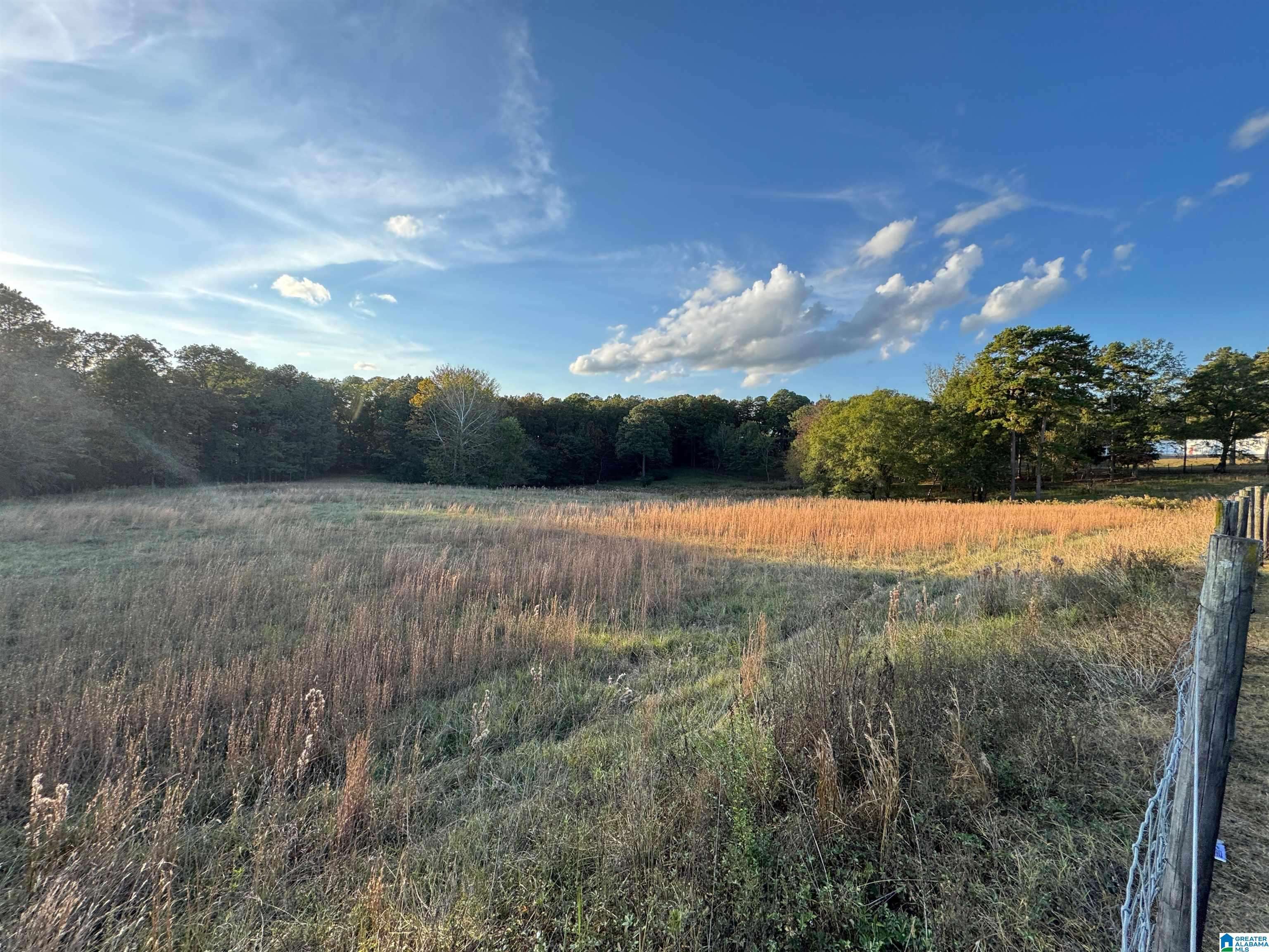 Montevallo, AL 35115,HIGHWAY 25