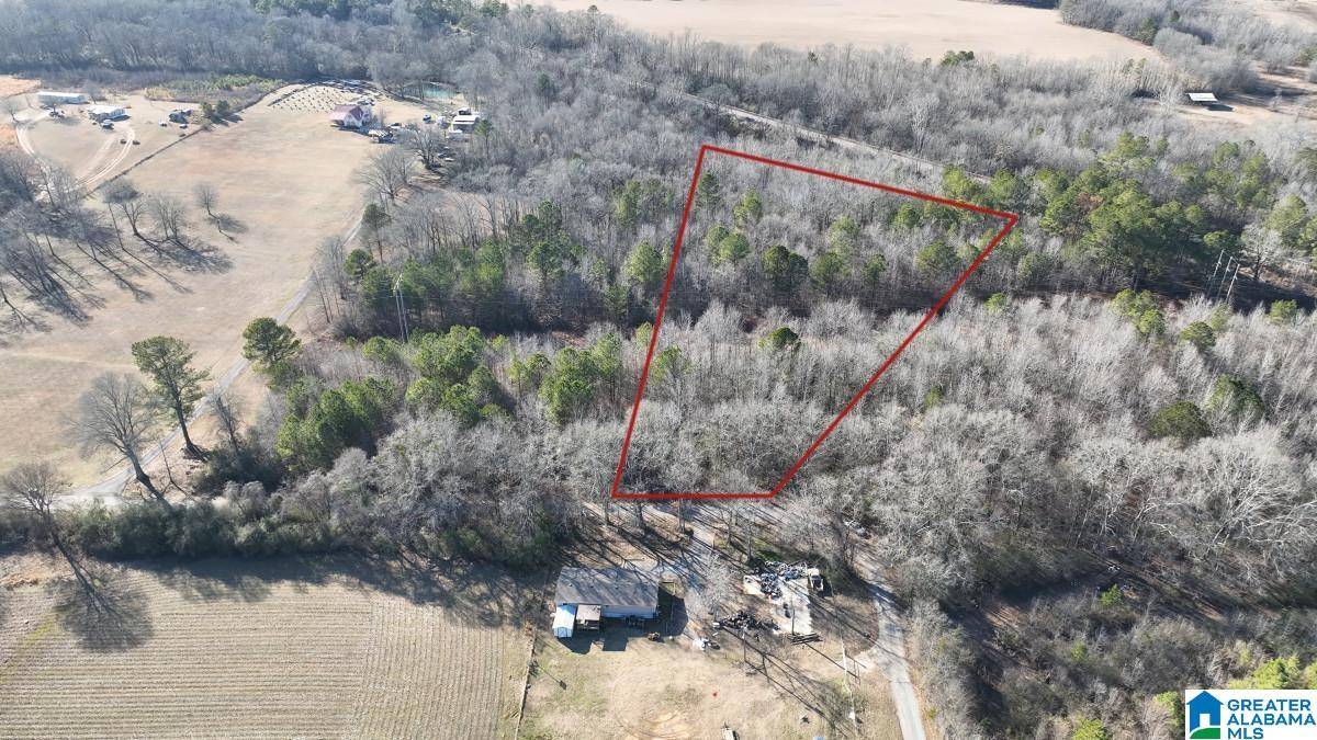Vincent, AL 35178,0 BATES ROAD #-