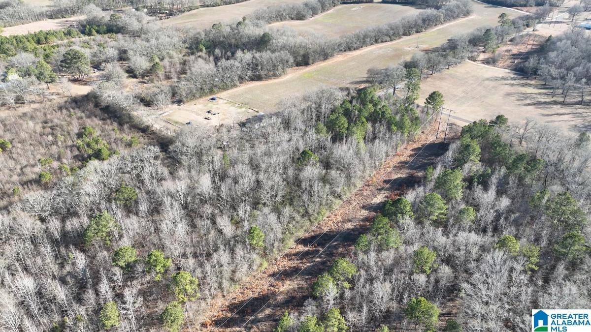 Vincent, AL 35178,0 BATES ROAD #-