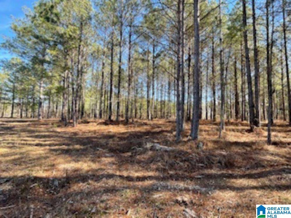 Ashville, AL 35953,89 GOLDEN POND ROAD #9