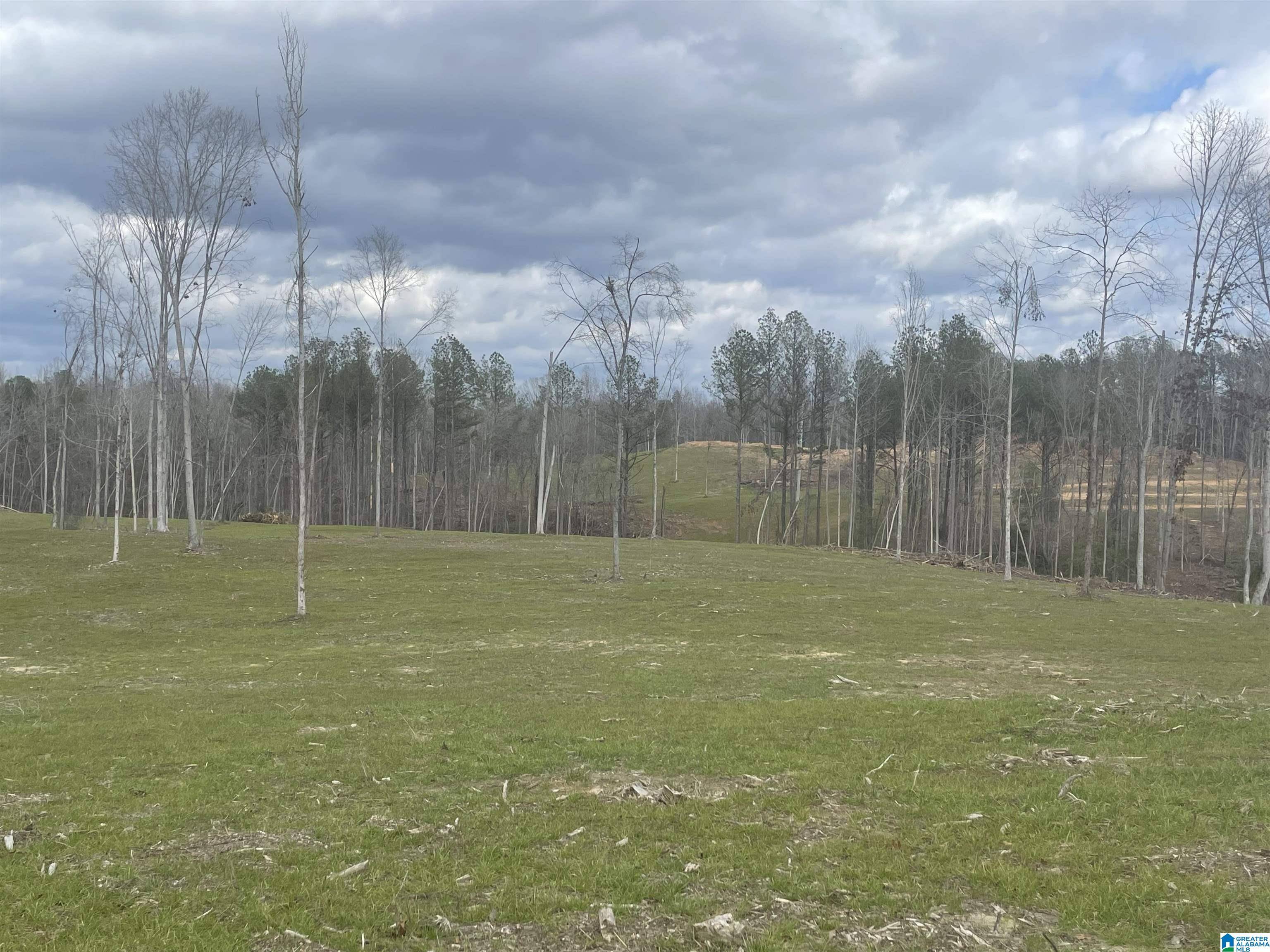 West Blocton, AL 35184,0001 TRUMAN ALDRICH PARKWAY #20