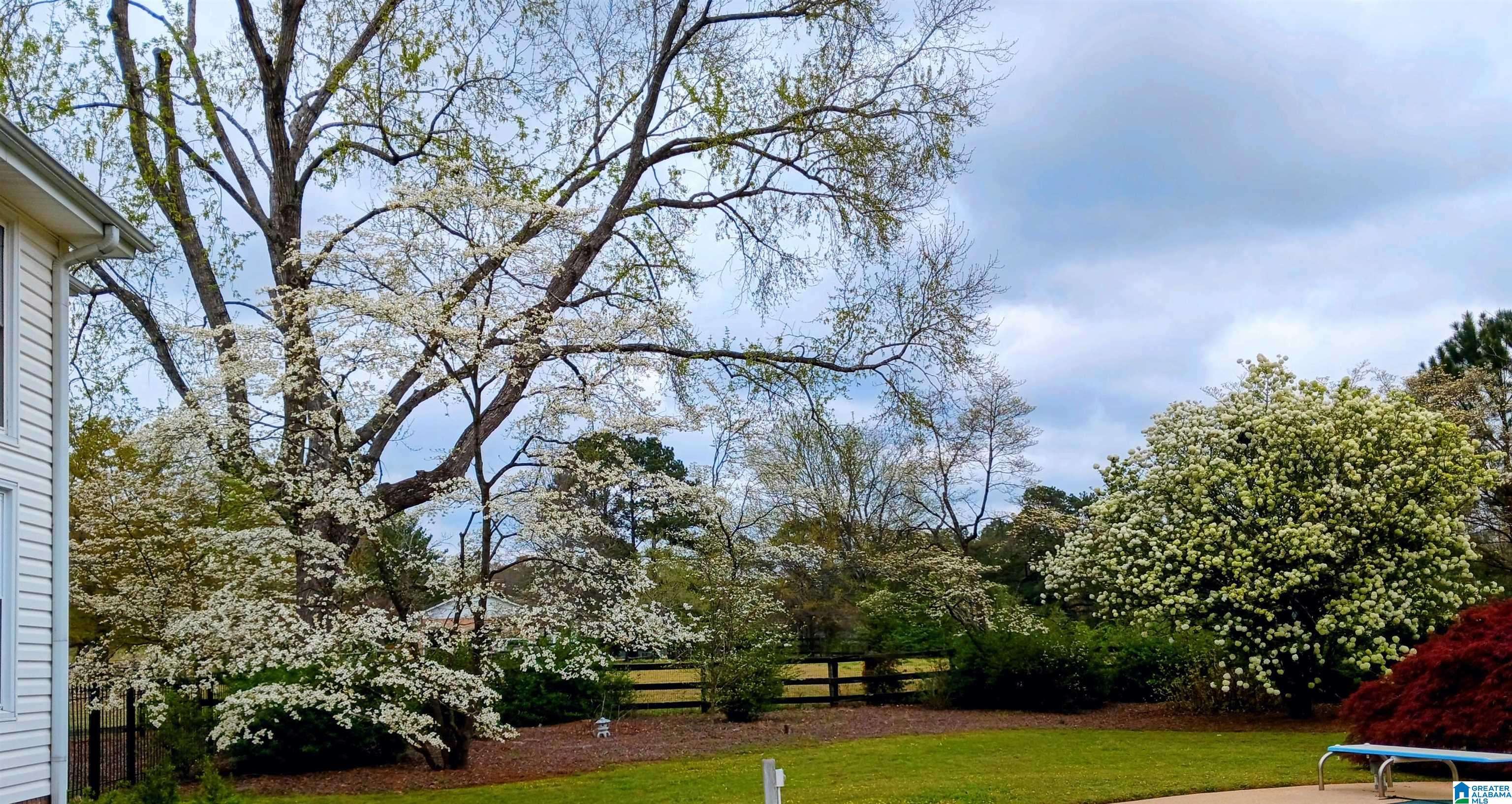 Indian Springs Village, AL 35124,1145 SPRING GARDEN STREET