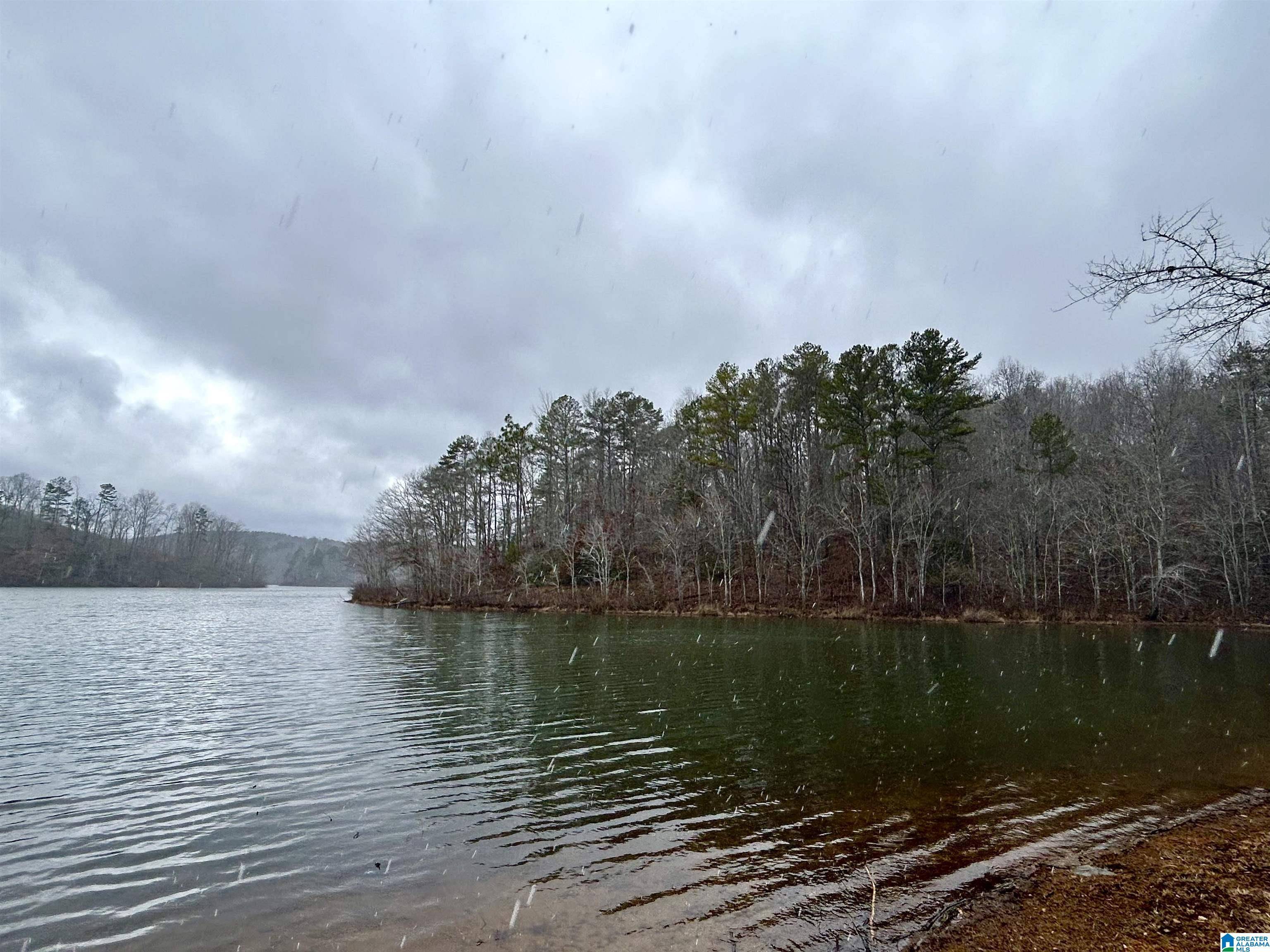 Ashland, AL 36251,0 OLIVE BRANCH ROAD #2-5
