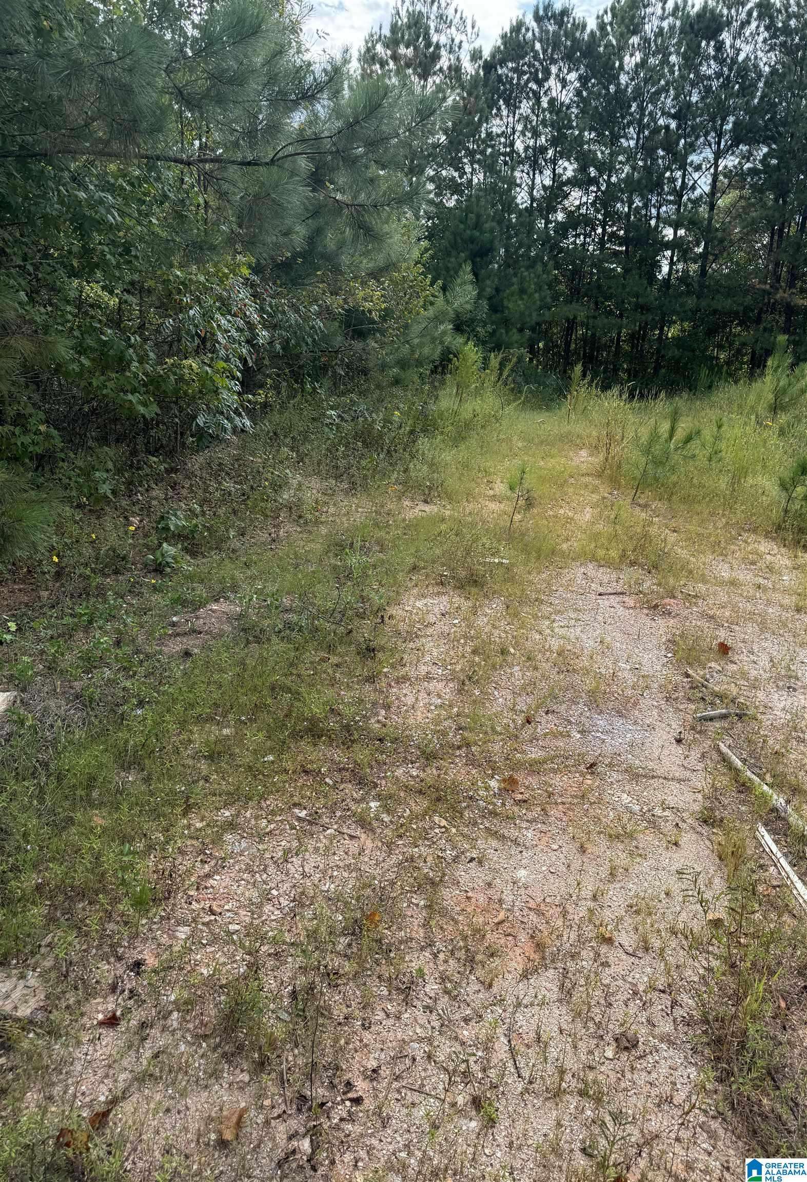 Muscadine, AL 36269,226 COUNTY ROAD 261 #0