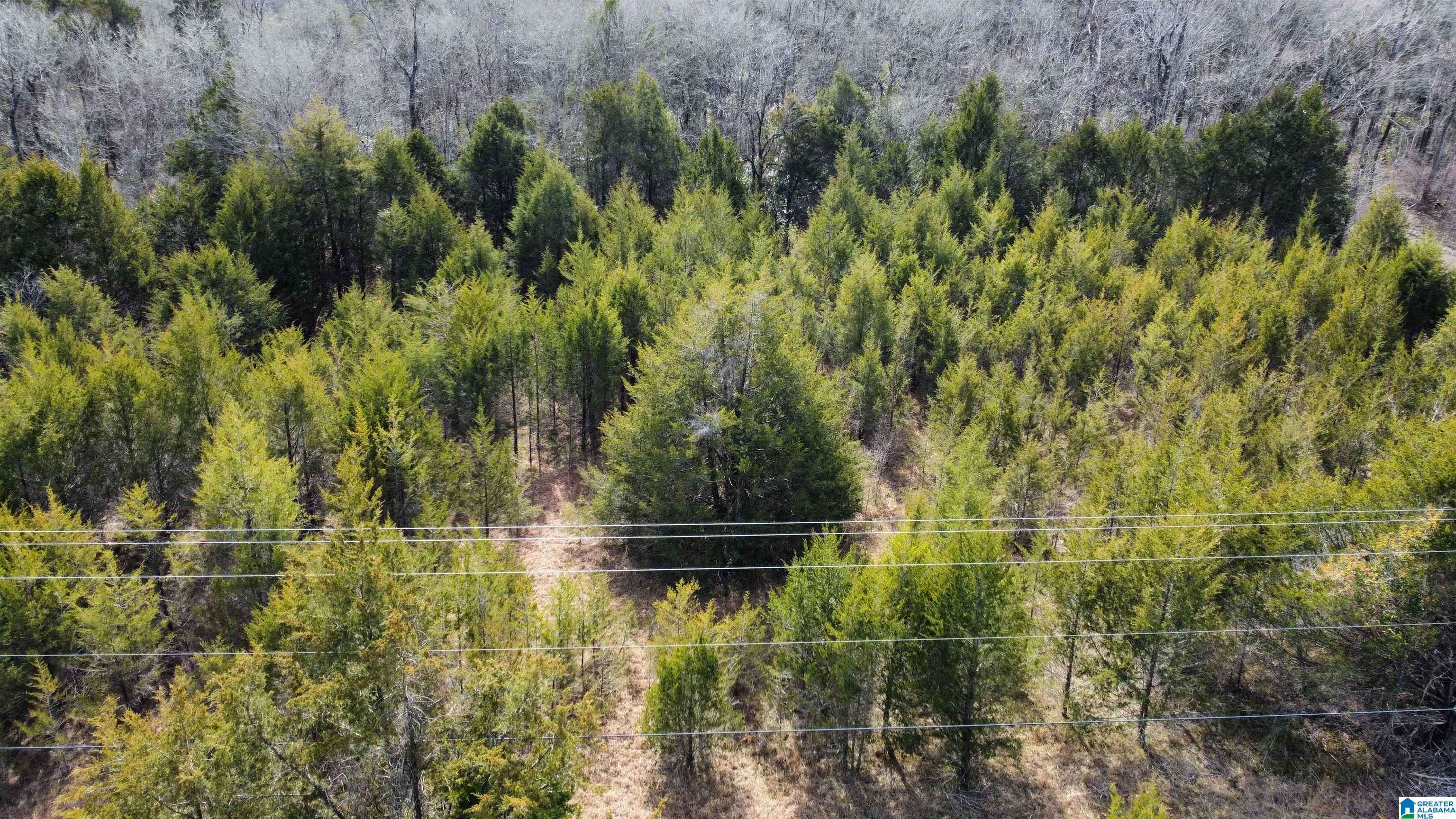 Faunsdale, AL 36738,0 OLD HIGHWAY 80 #N/A
