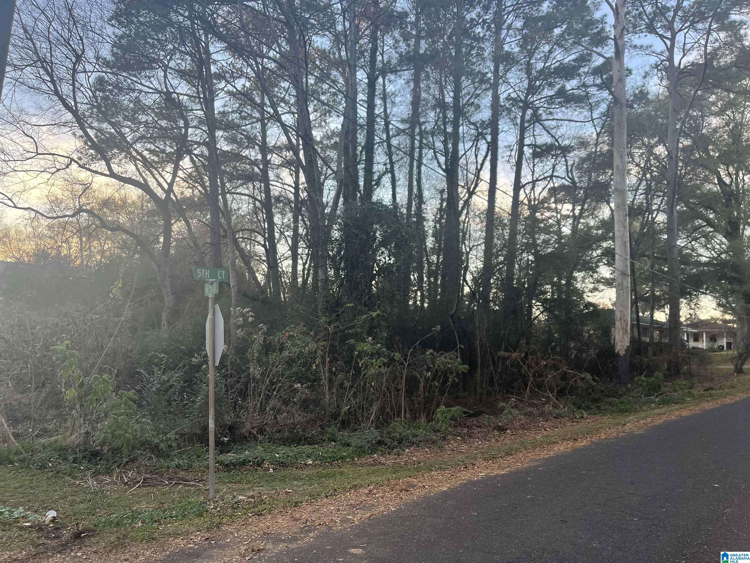 Pleasant Grove, AL 35127,542 5TH COURT #6