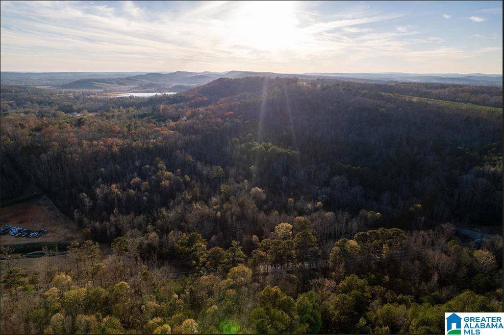 Altoona, AL 35952,23 acres HIGHWAY 41 #0