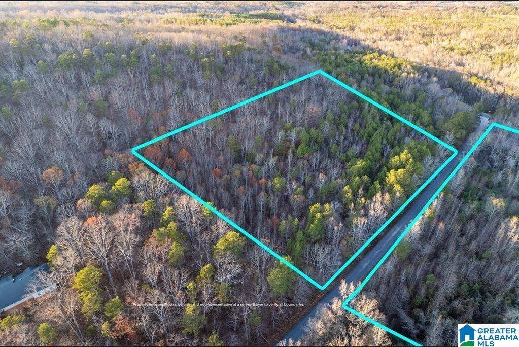 Altoona, AL 35952,23 acres HIGHWAY 41 #0