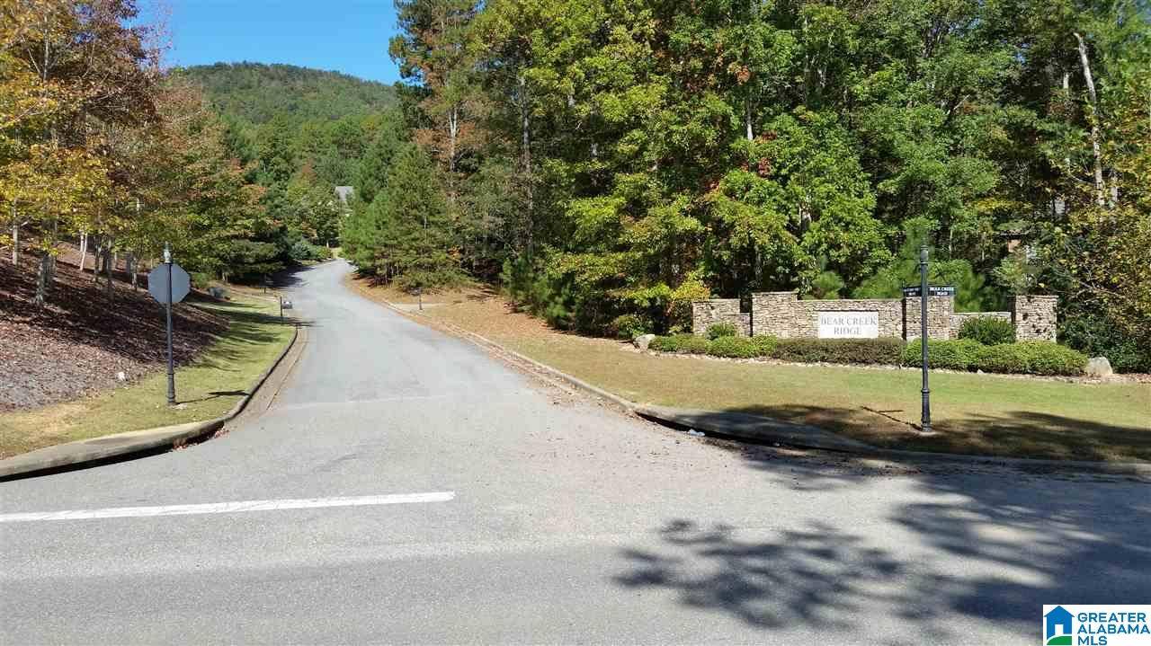Chelsea, AL 35147,Lot 40 AUTUMN VIEW DRIVE #40