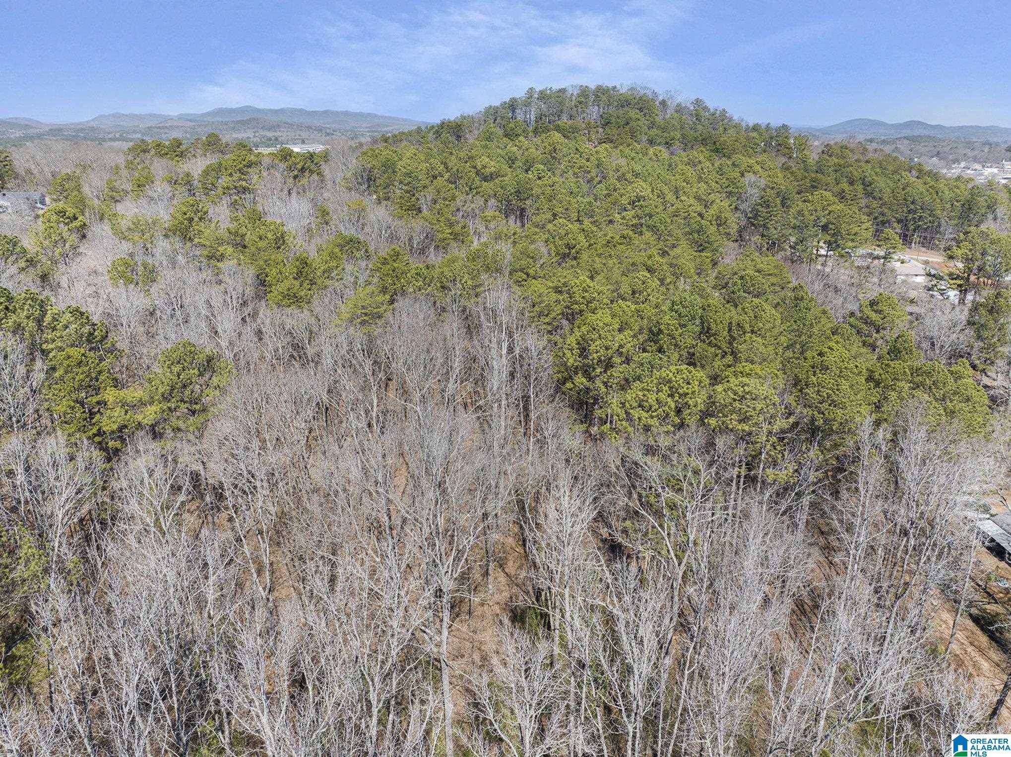 Piedmont, AL 36272,0 OAK RIDGE LANE #0