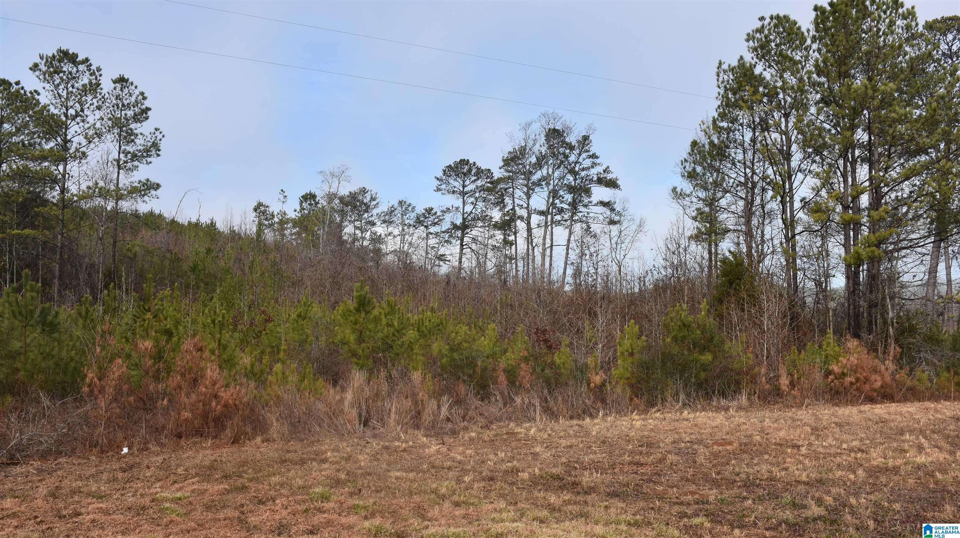 Talladega, AL 35160,RENFROE ROAD #0