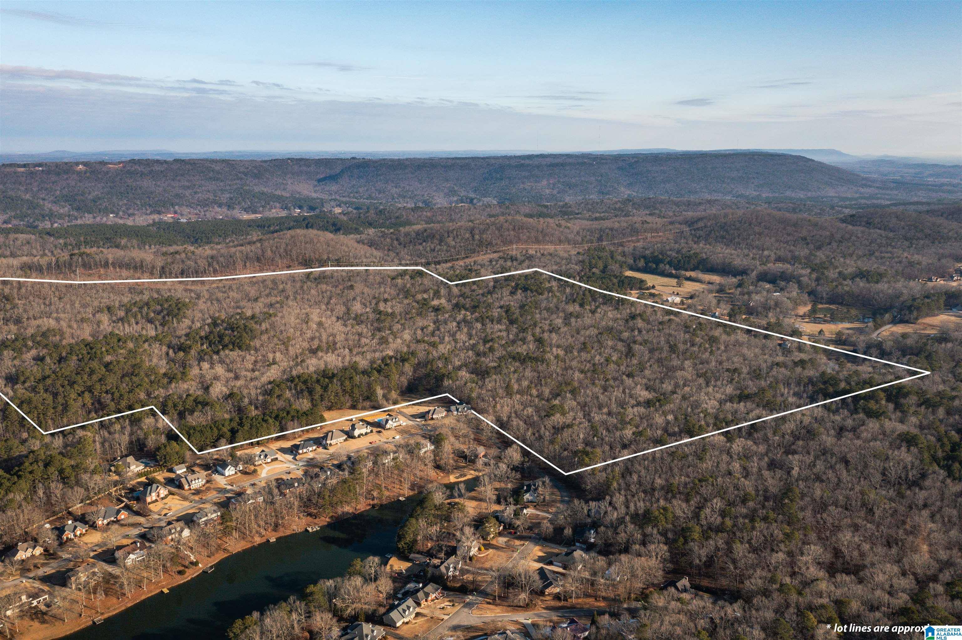Springville, AL 35146,0 MONARCH ROAD #4