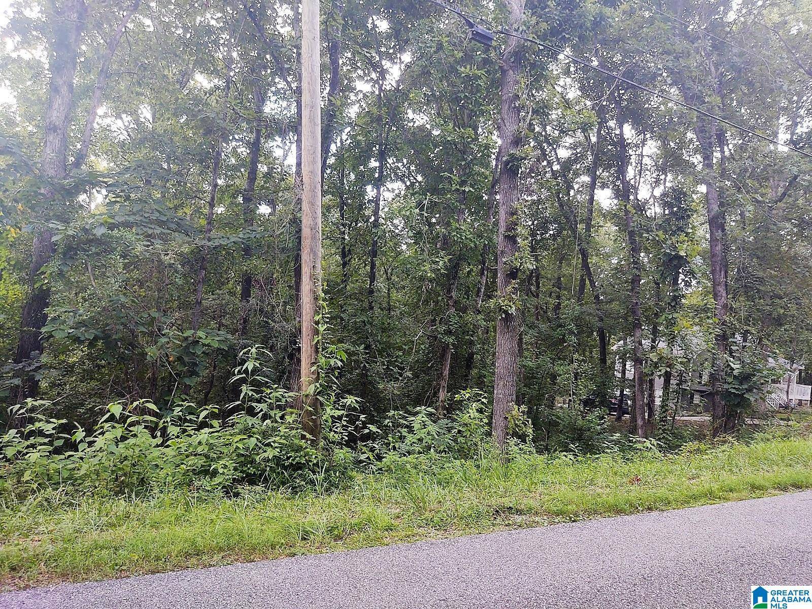Wilsonville, AL 35186,00 RIVER DRIVE #10