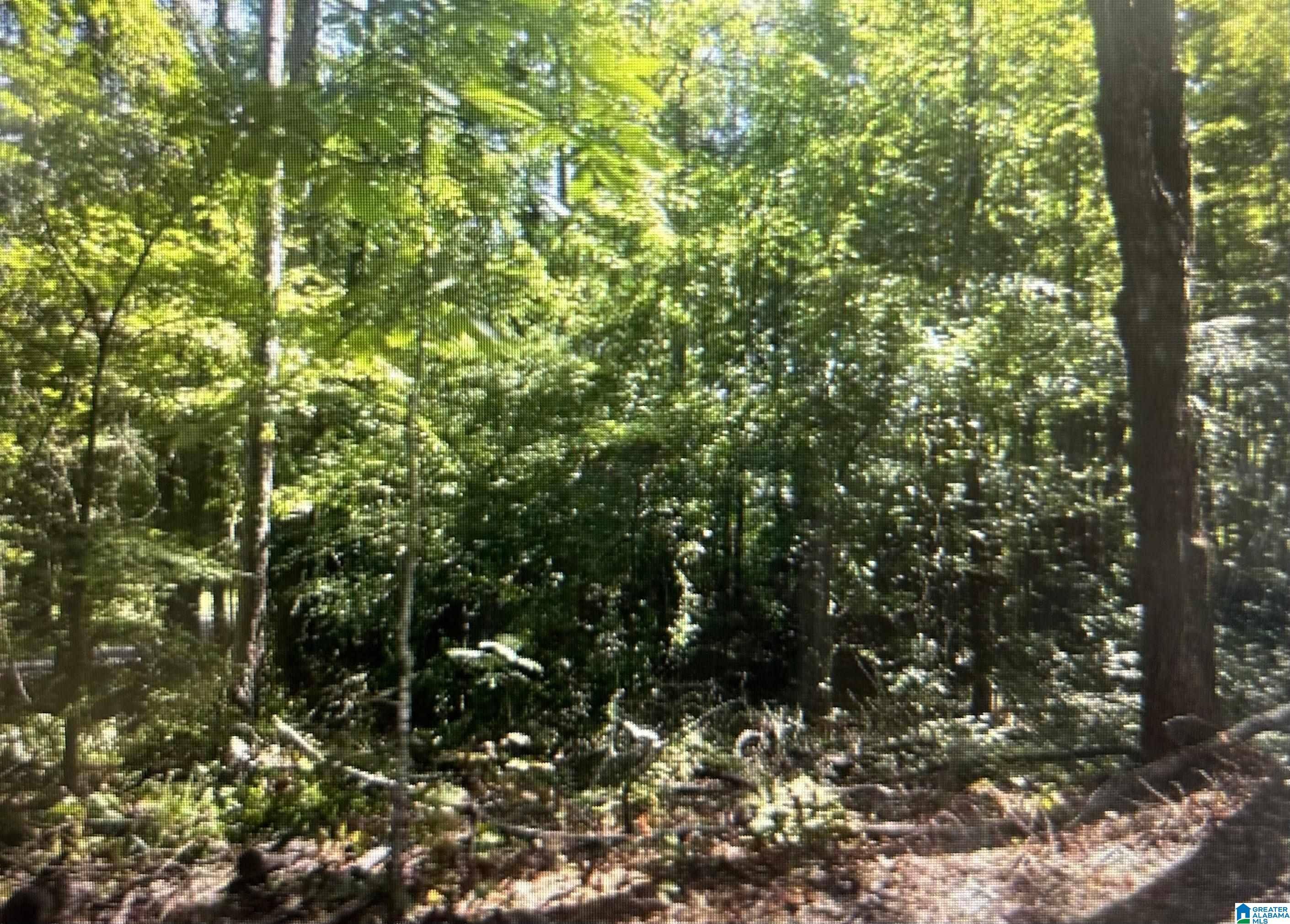 Alpine, AL 35014,0 GEMINI CIRCLE #Lot 53