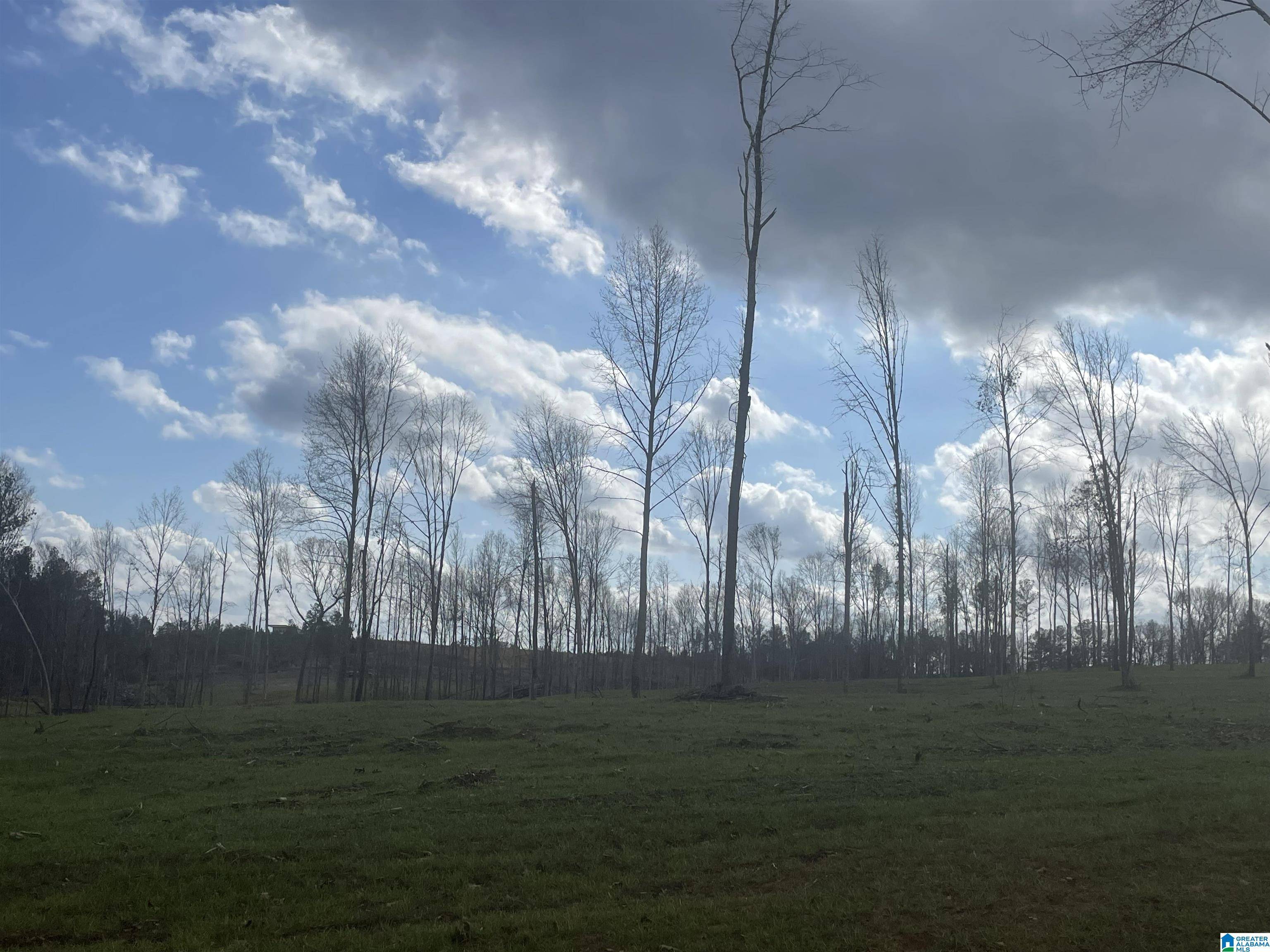 West Blocton, AL 35184,003 TRUMAN ALDRICH PARKWAY #14