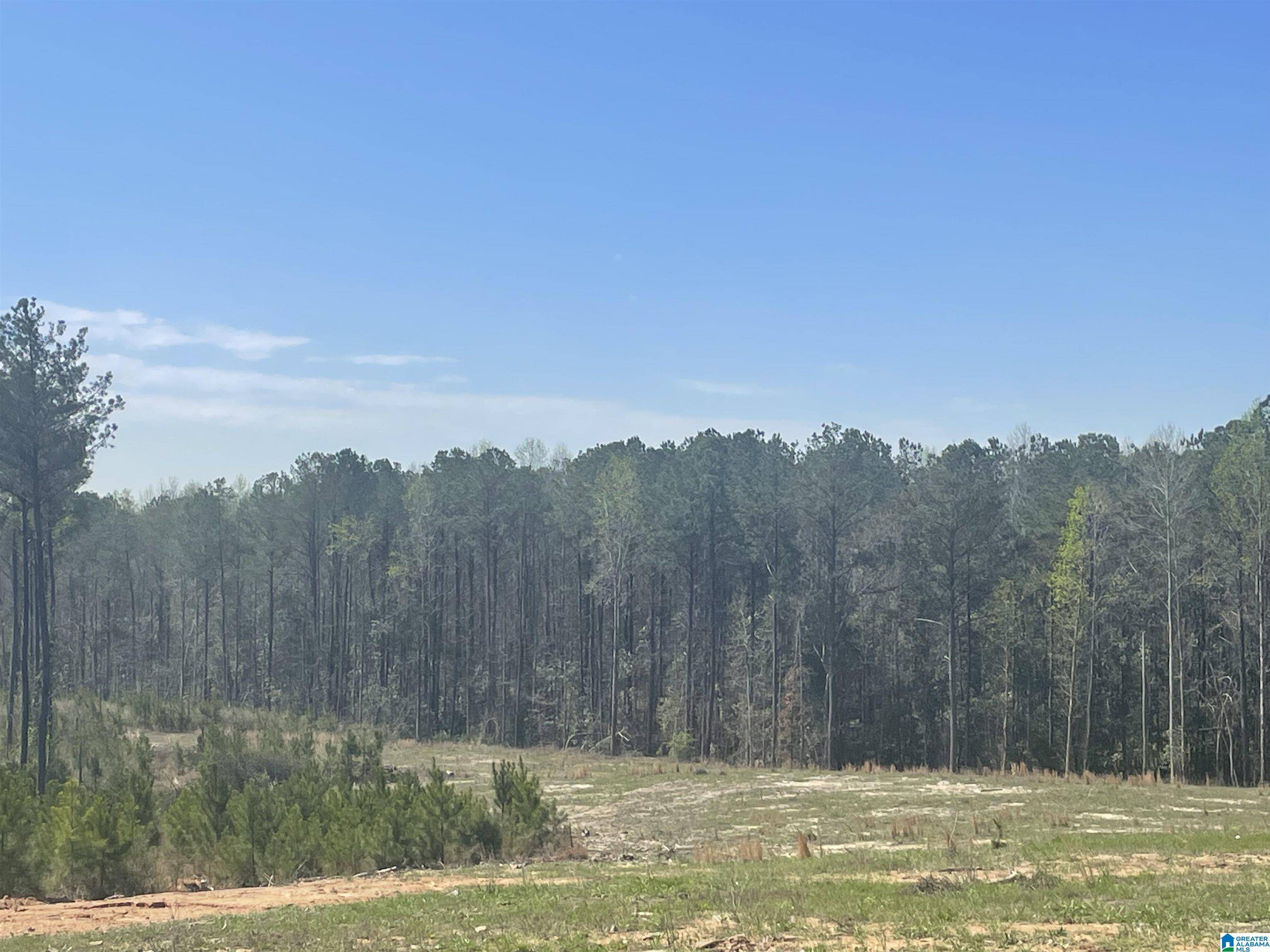 West Blocton, AL 35184,0004 TRUMAN ALDRICH PARKWAY #15
