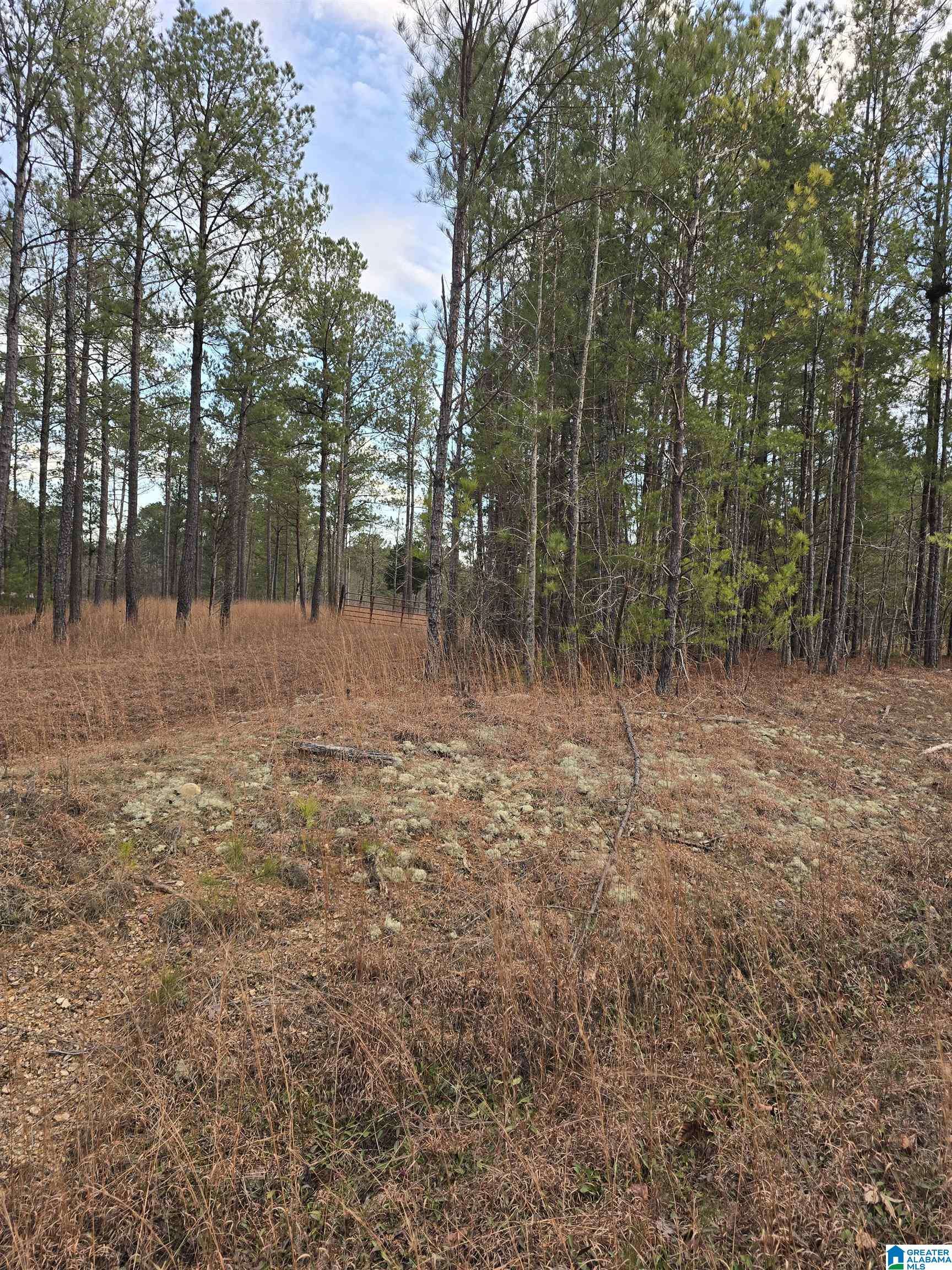 Jemison, AL 35085,385 COUNTY ROAD 886 #20