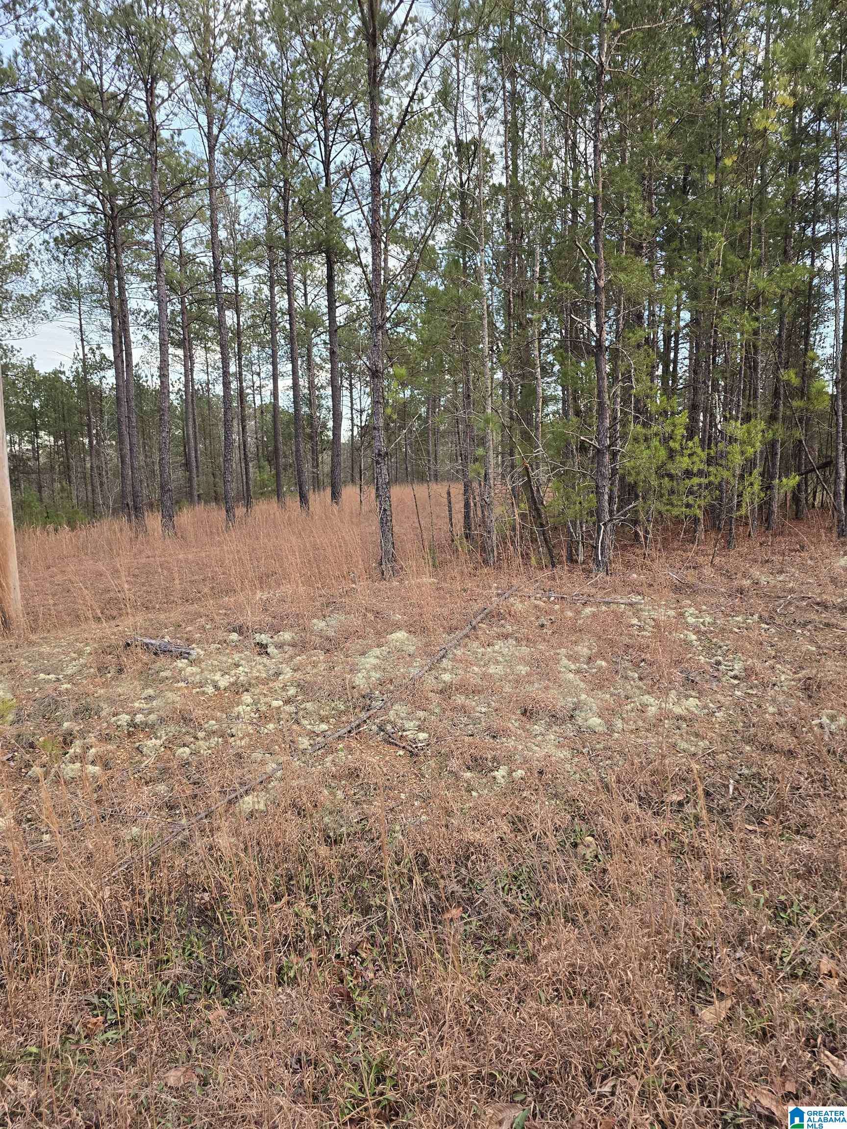 Jemison, AL 35085,385 COUNTY ROAD 886 #20