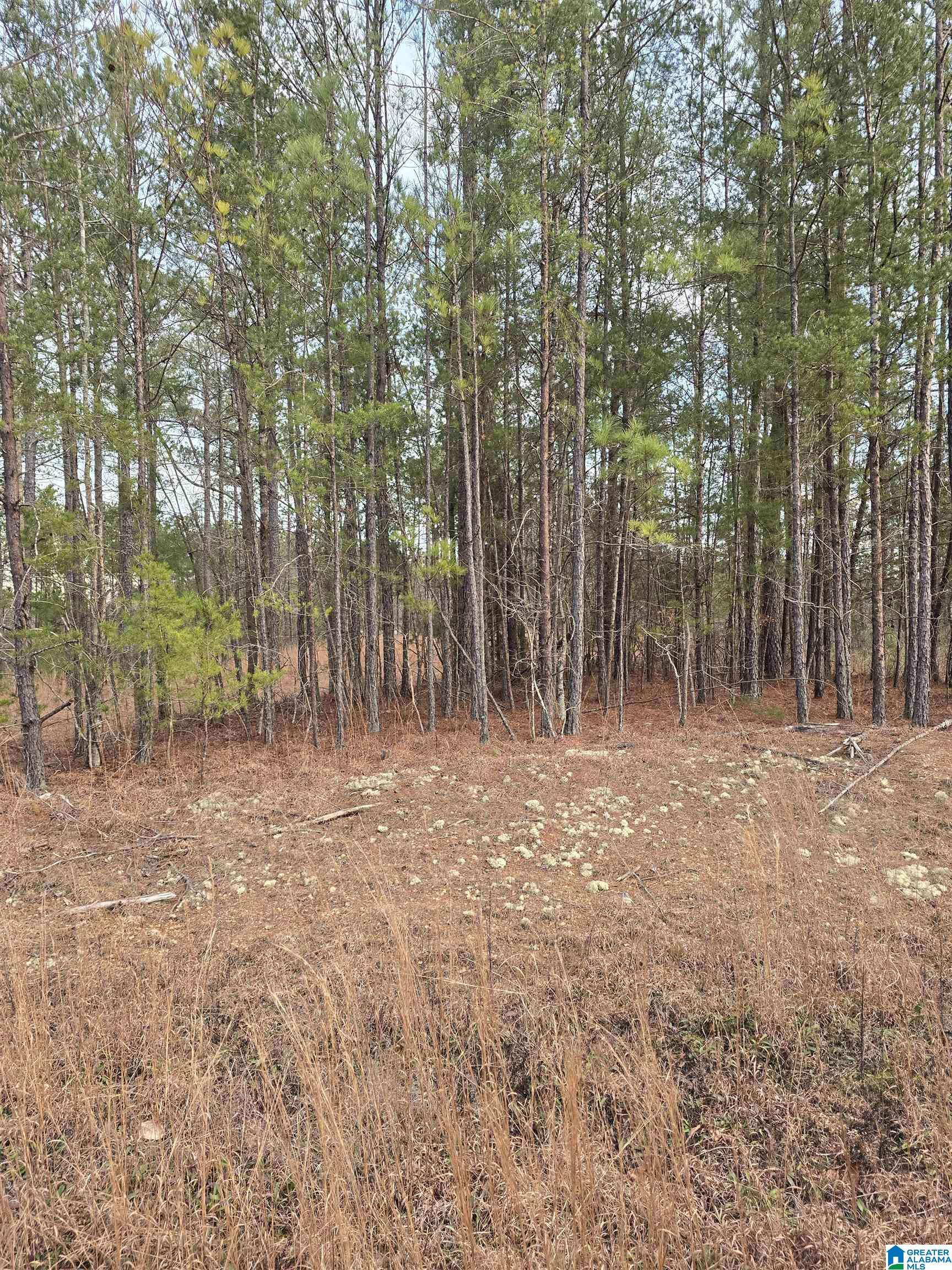 Jemison, AL 35085,385 COUNTY ROAD 886 #20