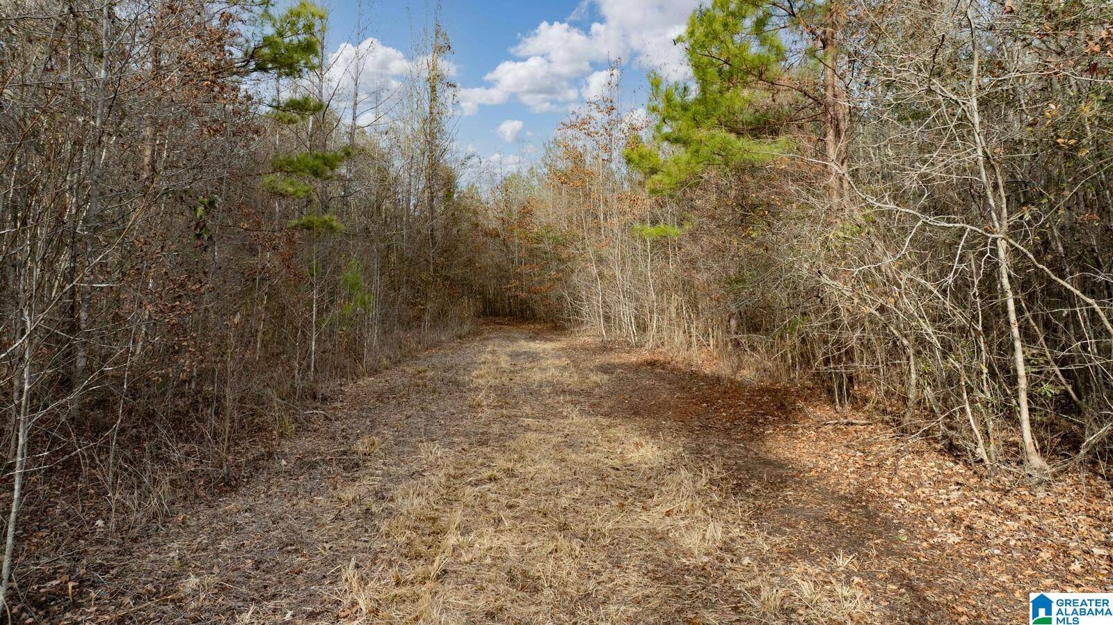 Akron, AL 35441,00 BRUSH CREEK DRIVE #0