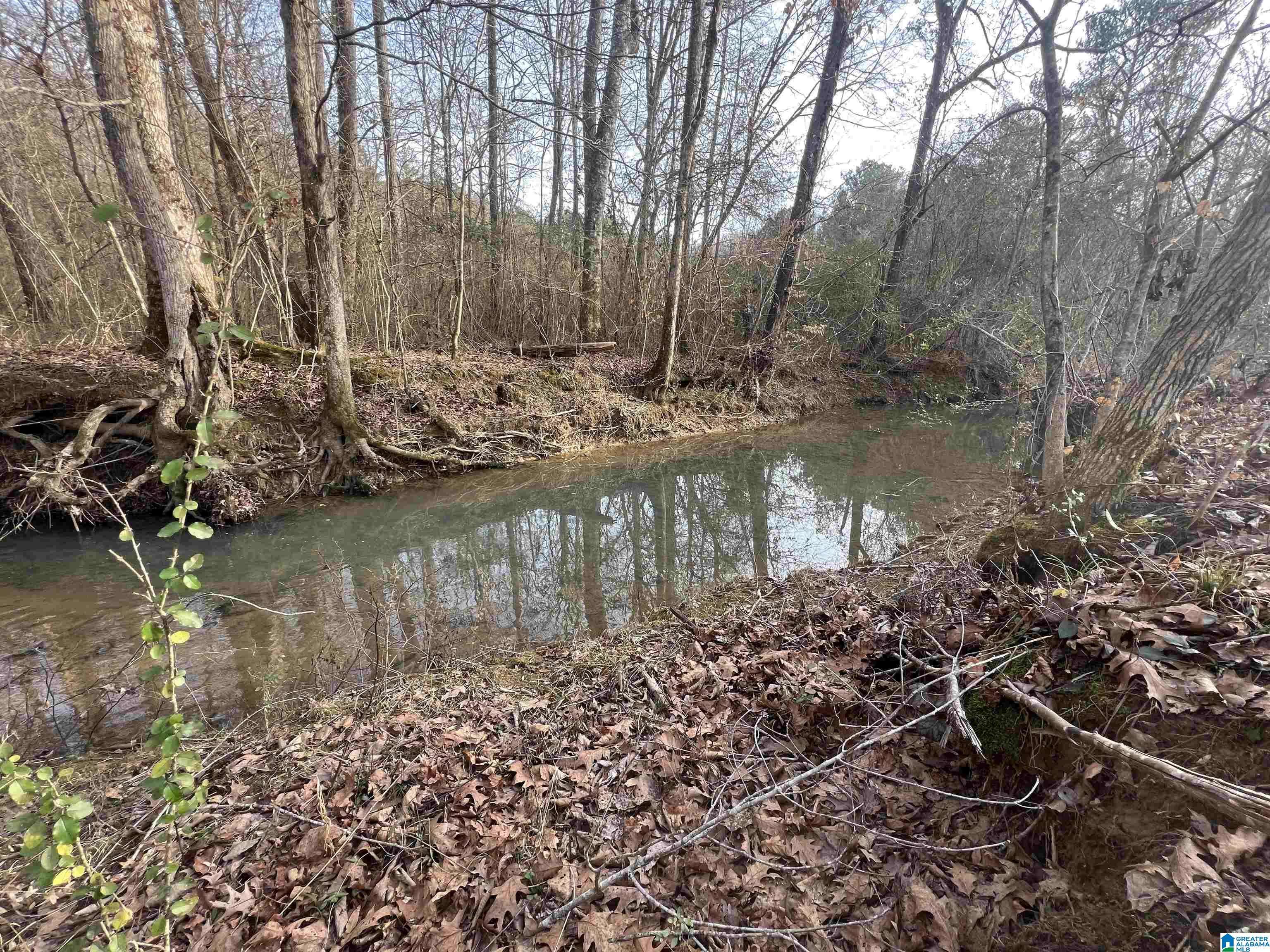 Cropwell, AL 35054,0 CAMP CREEK ROAD #1