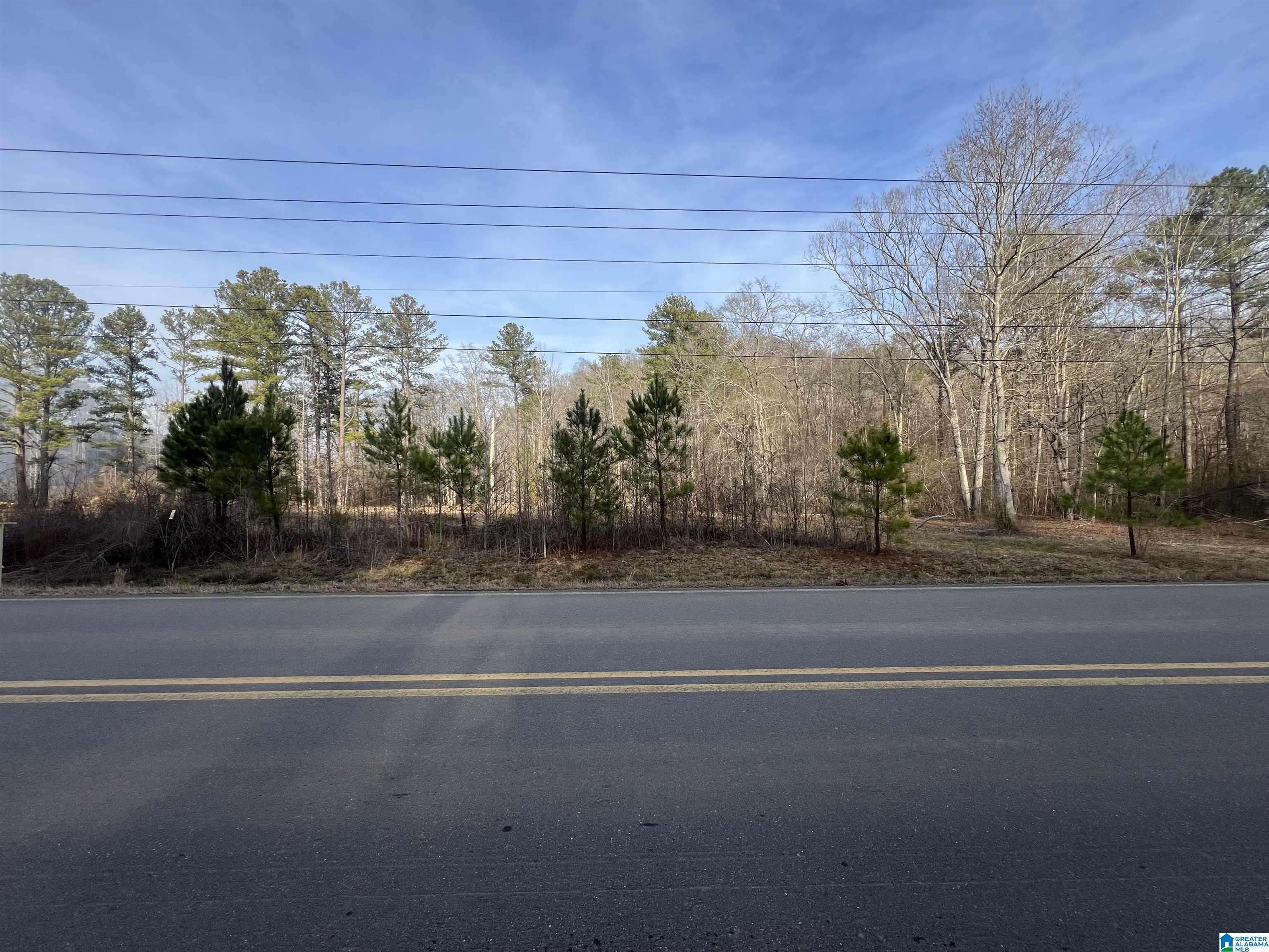 Cropwell, AL 35054,0 CAMP CREEK ROAD #1