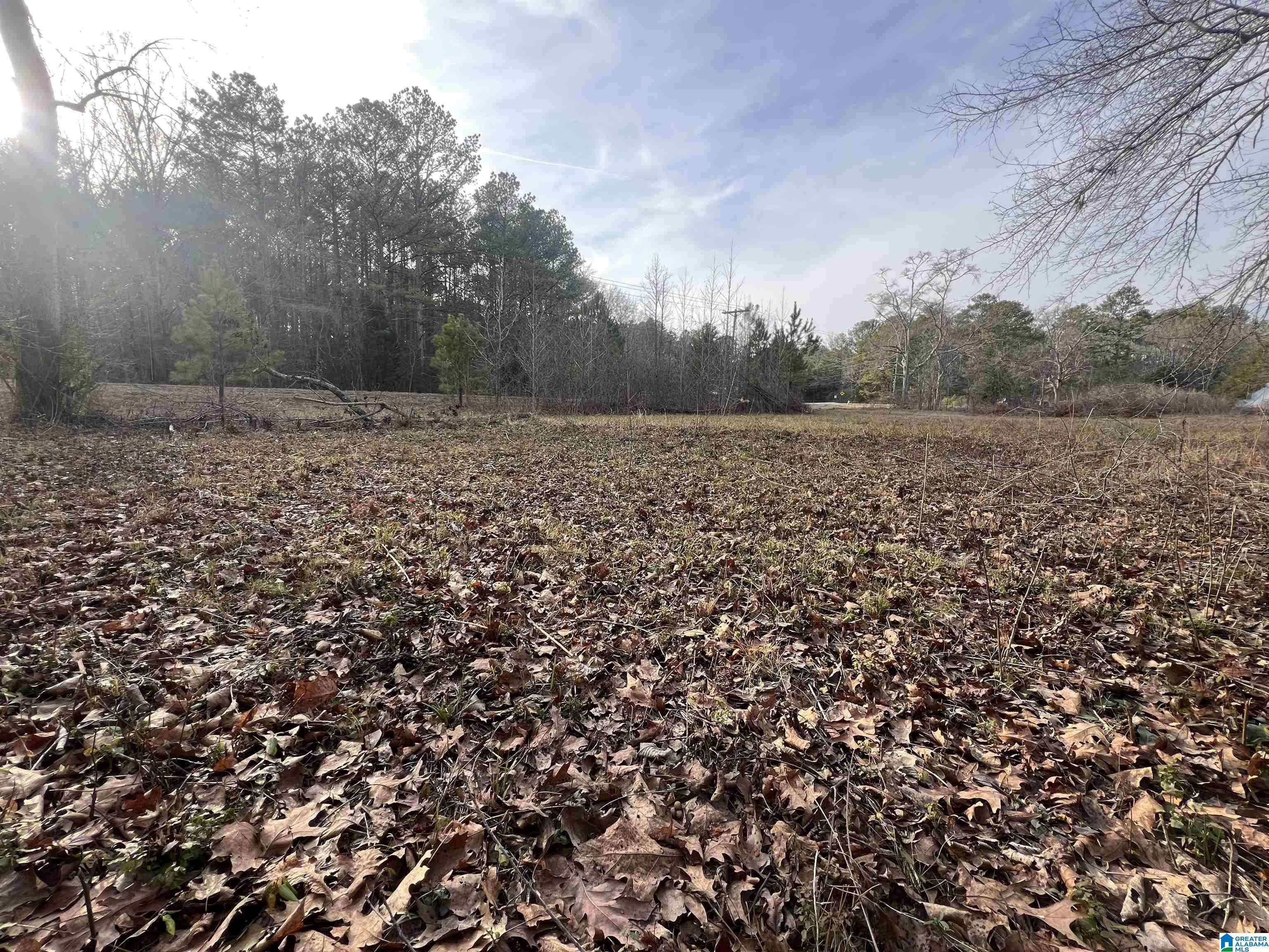 Cropwell, AL 35054,0 CAMP CREEK ROAD #1