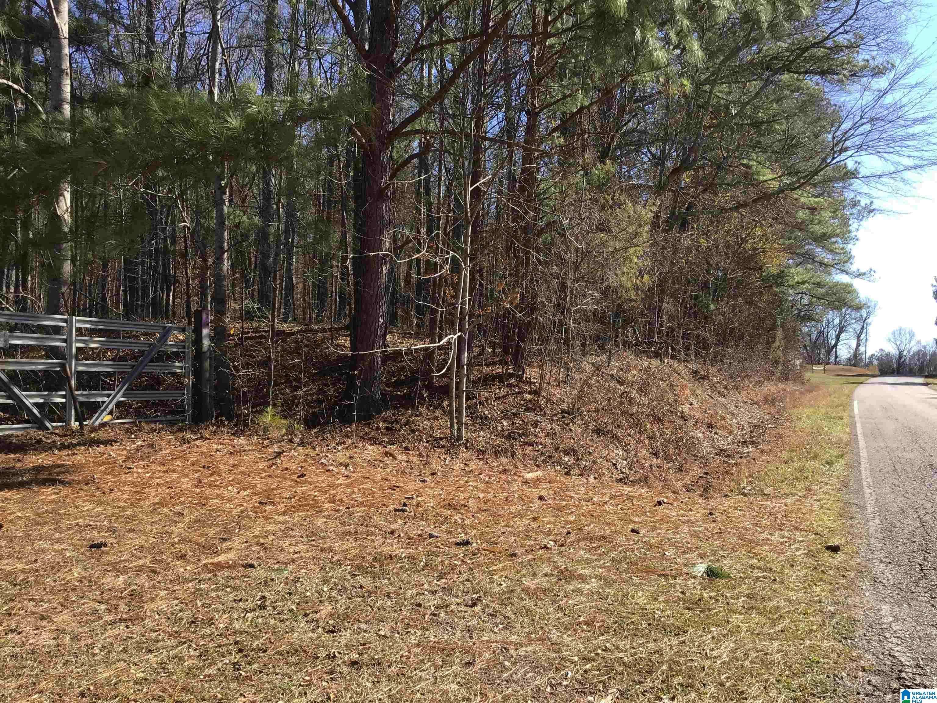 Lineville, AL 36266,0000 COUNTY ROAD 57 #0