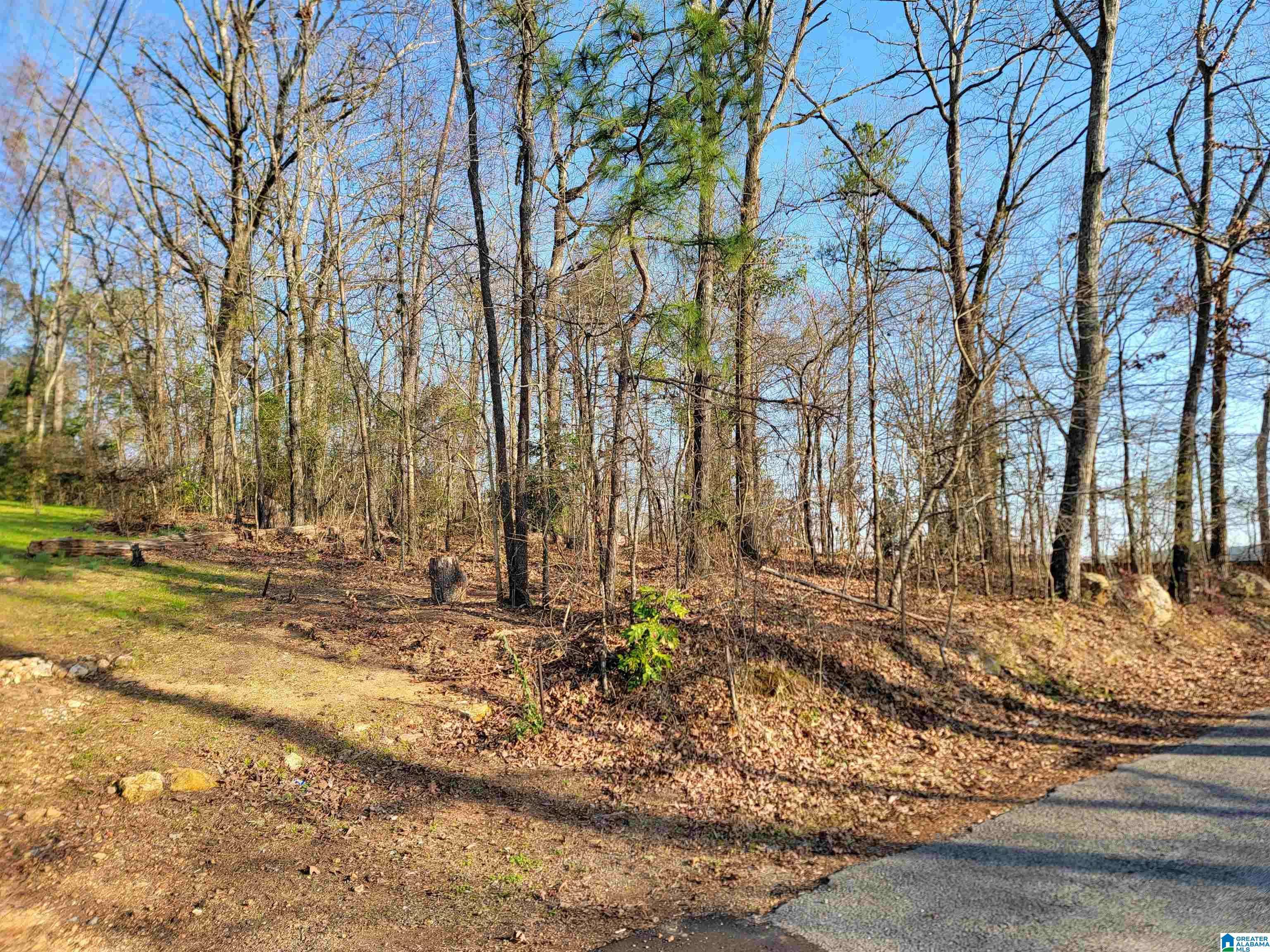 Cropwell, AL 35054,0 CLEARWATER POINT ROAD #5