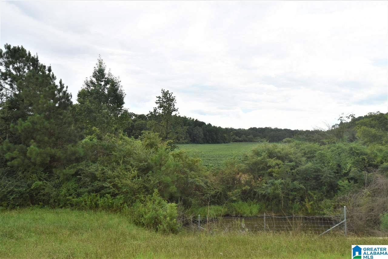 Anniston, AL 36203,00 I-20 #1
