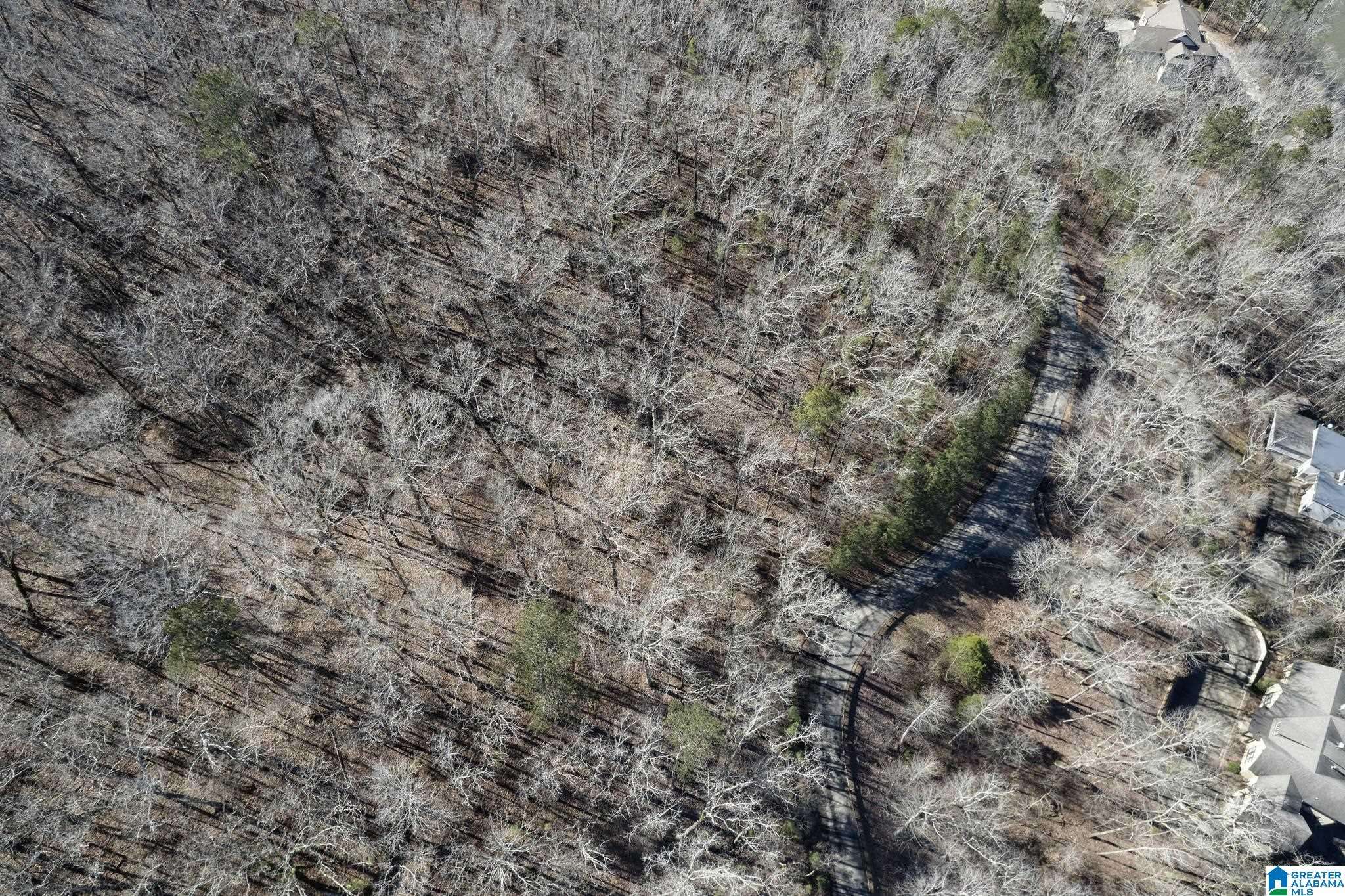 Verbena, AL 36091,105 COUNTY ROAD 1000 #0