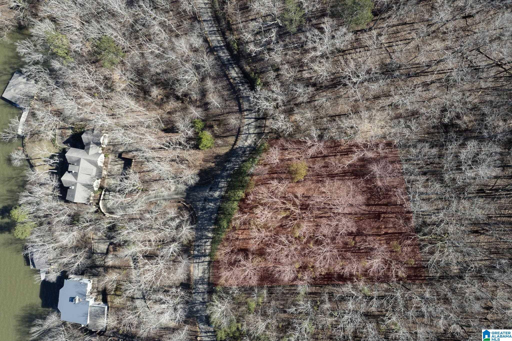 Verbena, AL 36091,105 COUNTY ROAD 1000 #0