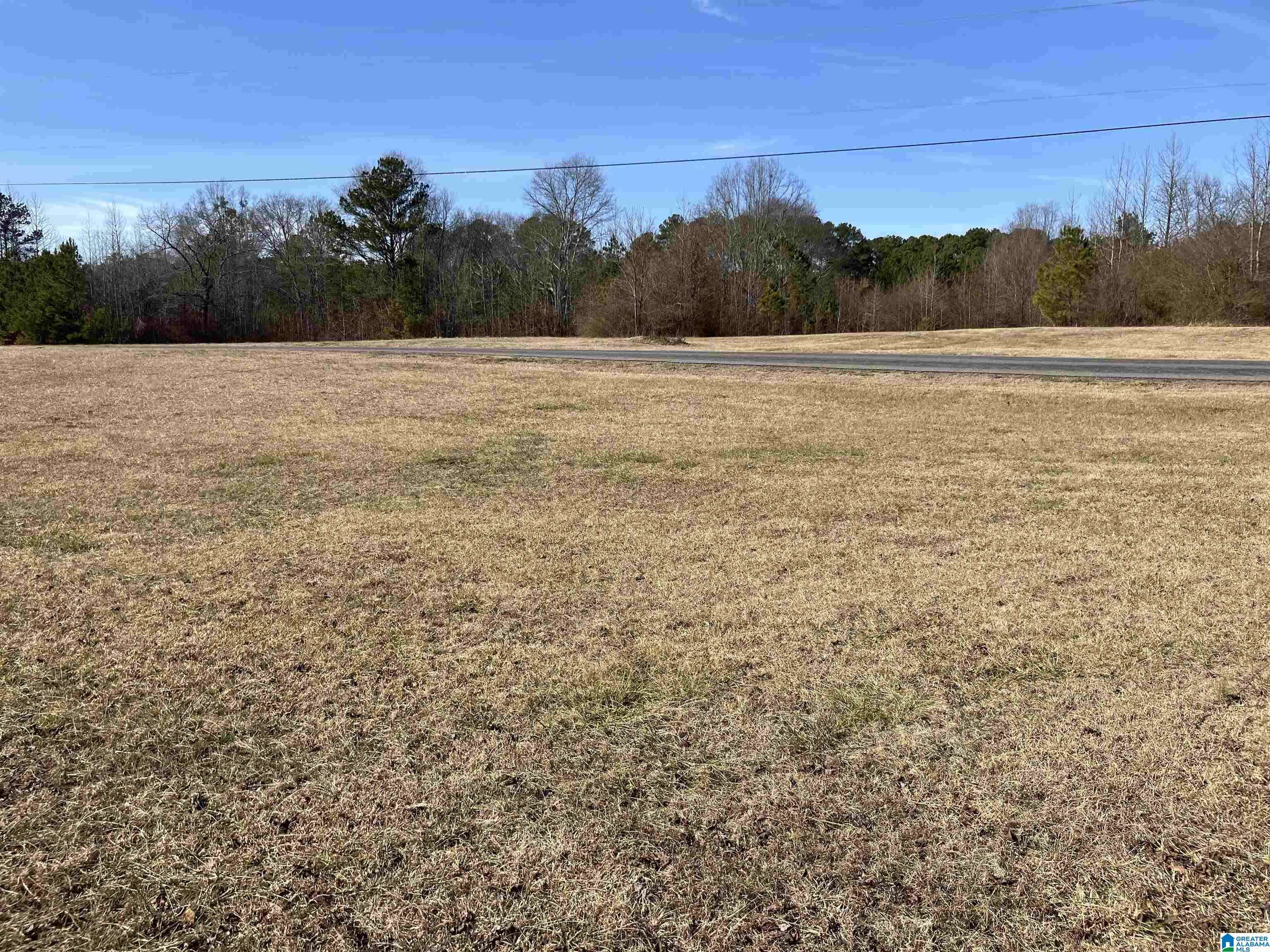 Altoona, AL 35952,0 WILSON CHAPEL ROAD #Tract 4
