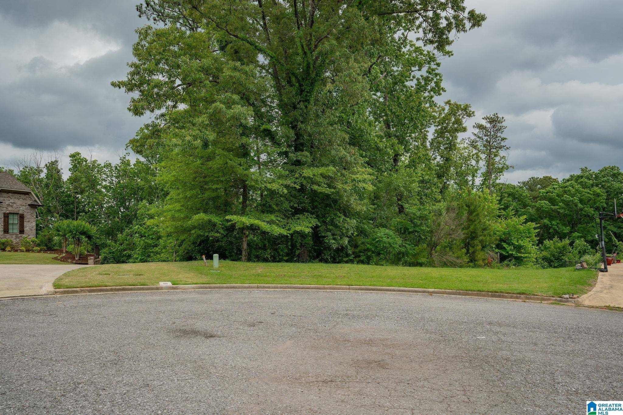 Vestavia Hills, AL 35216,1604 CHATEAU CREST LANE #LOT 4