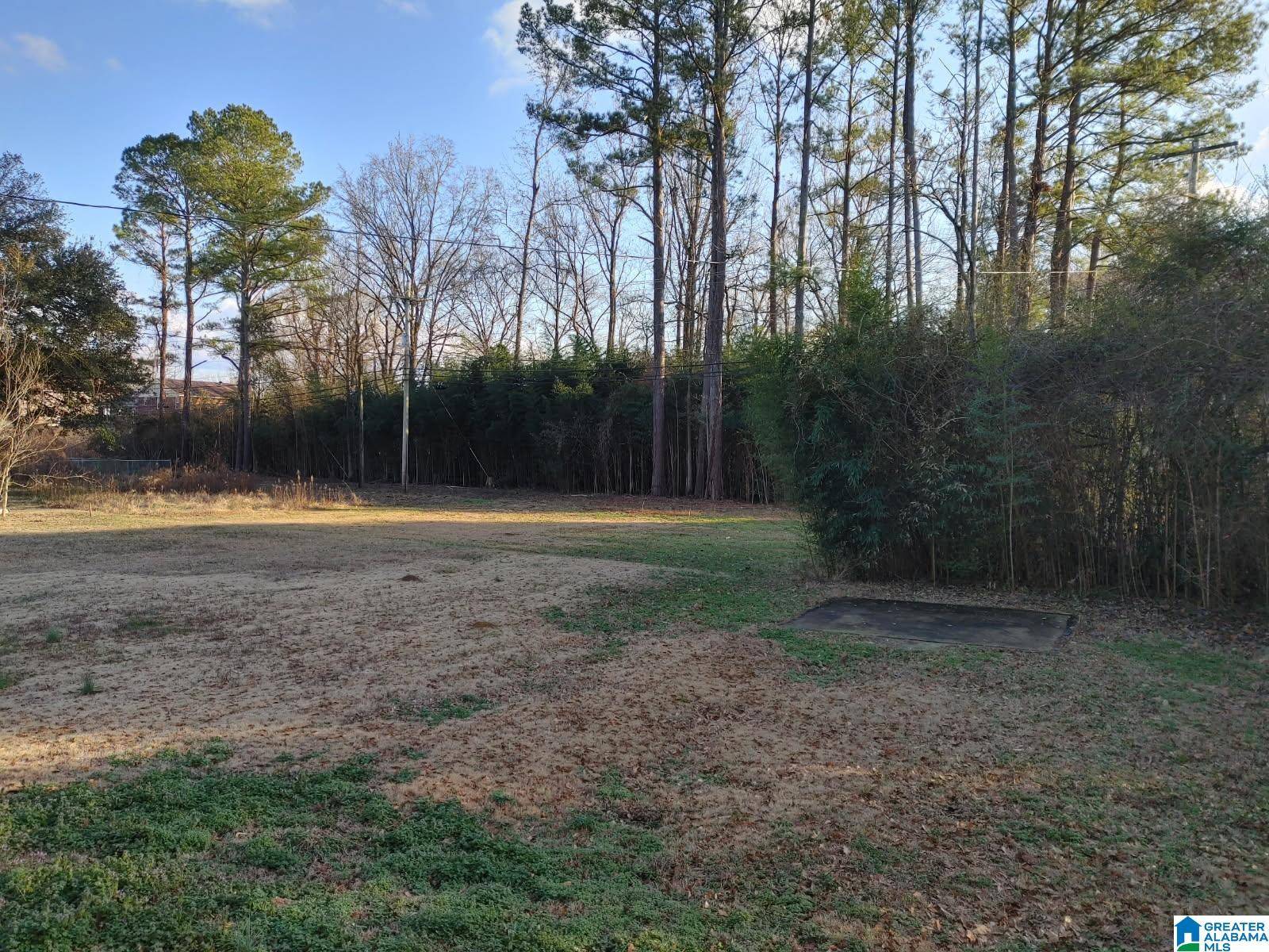 Sylacauga, AL 35150,829 MAGNOLIA DRIVE