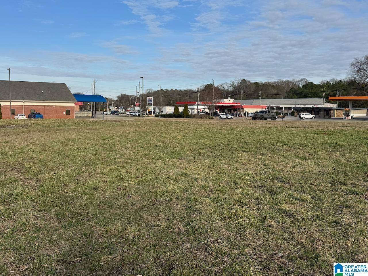 Montevallo, AL 35115,3817 HIGHWAY 25 #3A