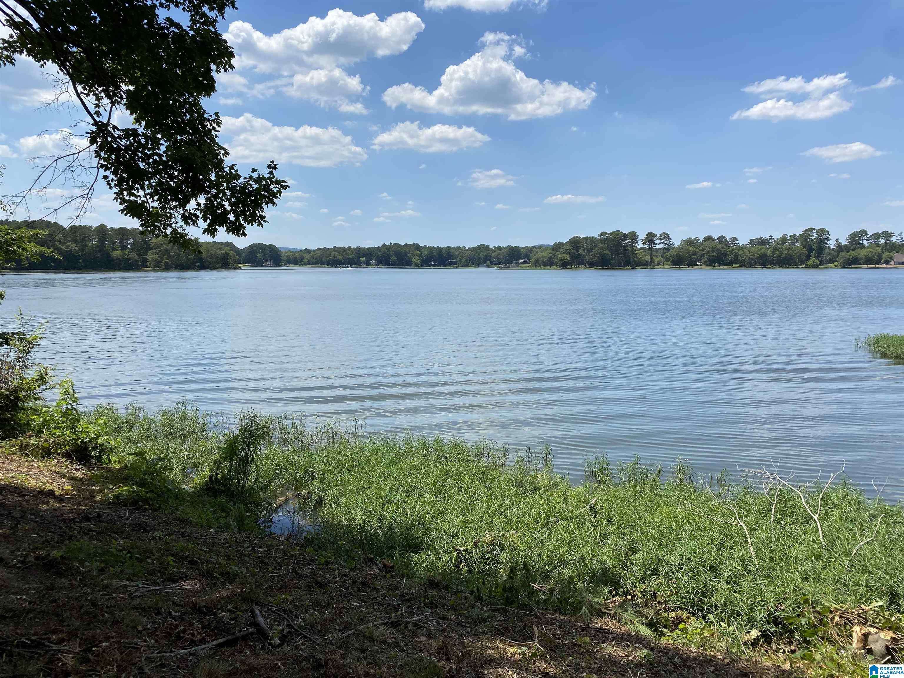 Sylacauga, AL 35151,0 SHORE SIDE LANE #137 & 138