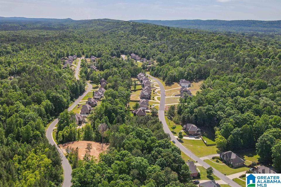 Chelsea, AL 35043,460 BENT CREEK TRACE #77