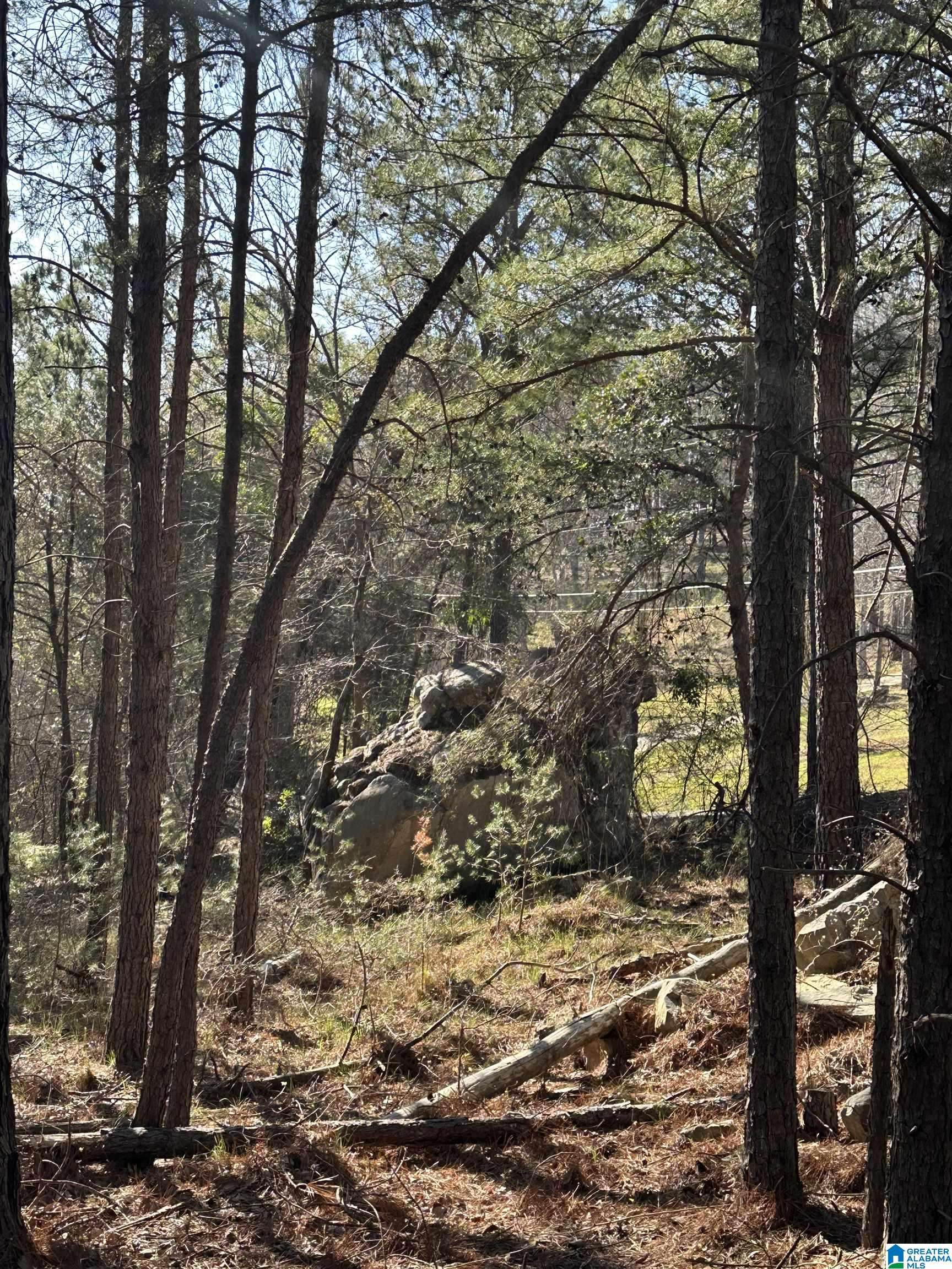 Ohatchee, AL 36271,0 MOHAWK BLUFF DRIVE #1