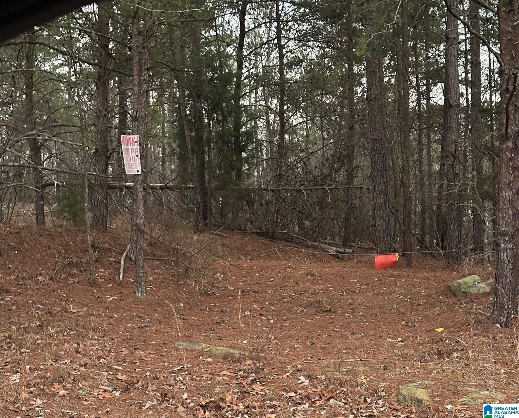 Ohatchee, AL 36271,0 MOHAWK BLUFF DRIVE #1