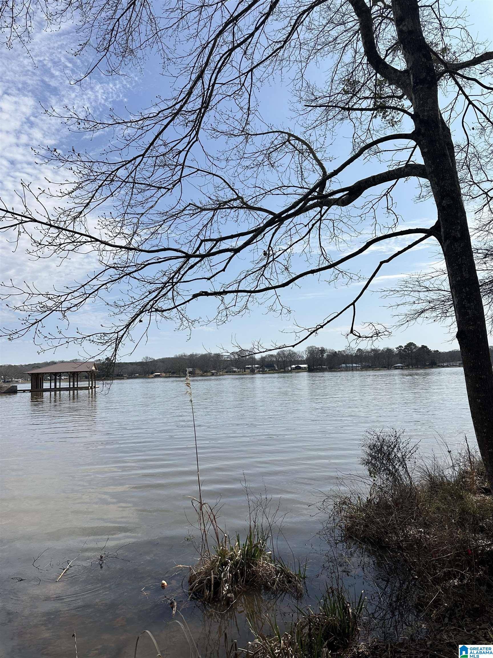 Wilsonville, AL 35186,0 LOKEY DRIVE #1