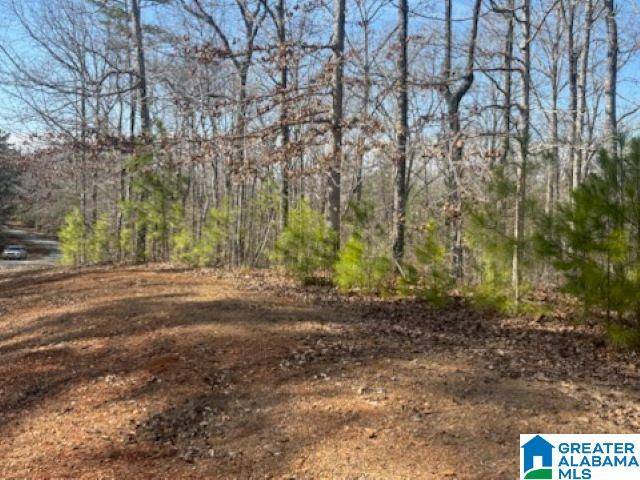 Wedowee, AL 36278,0 LAUREL WAY #93
