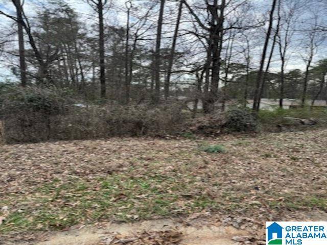 Montevallo, AL 35115,200 GERONIMO CIRCLE #55 and 56