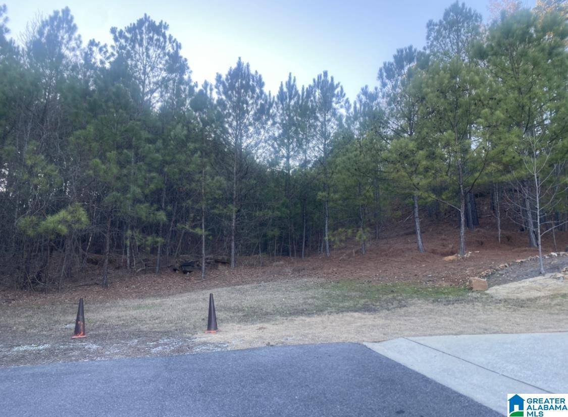 Birmingham, AL 35244,495 SCENIC VIEW LANE #15A