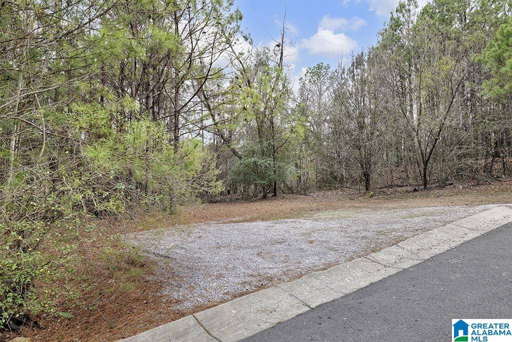 Birmingham, AL 35244,495 SCENIC VIEW LANE #15A