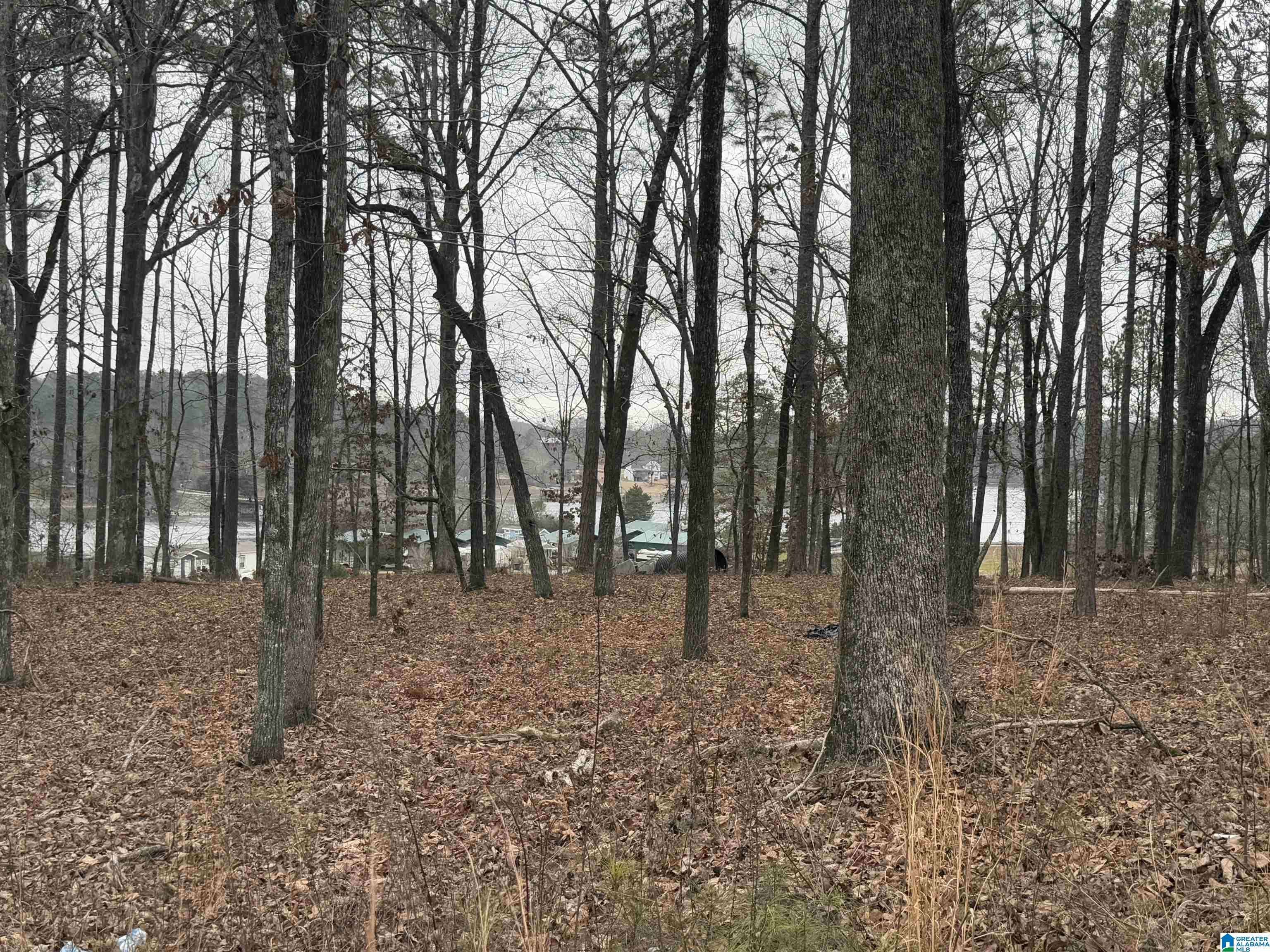 Alpine, AL 35014,1 CENTURAS CIRCLE #2