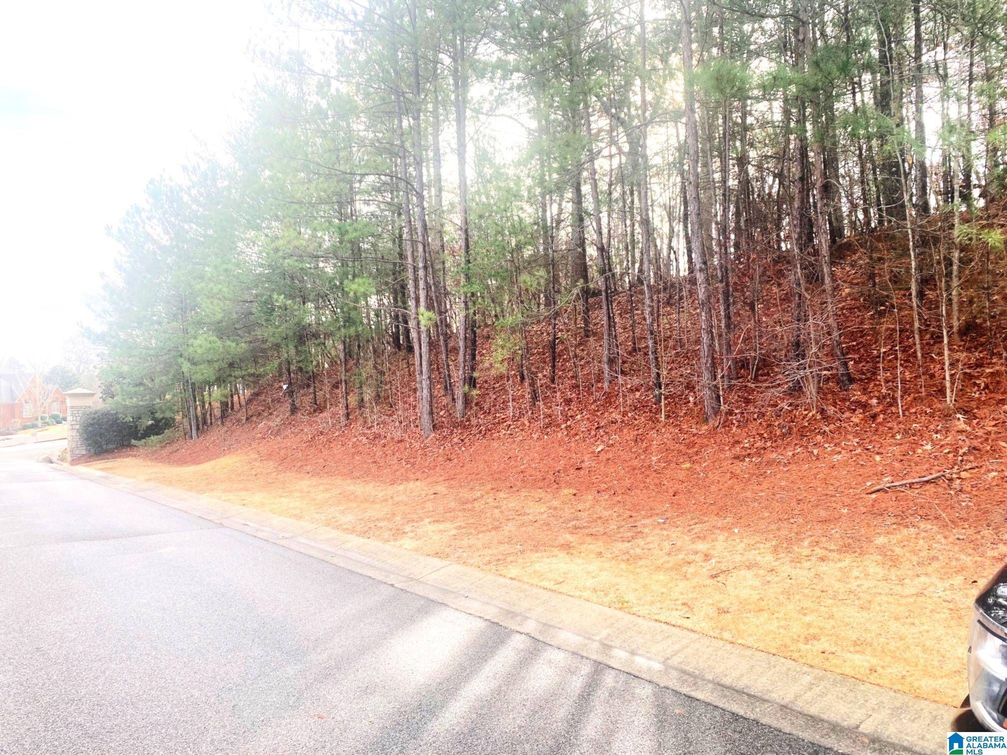 Hoover, AL 35244,1557 HIGHLAND GATE POINT #631