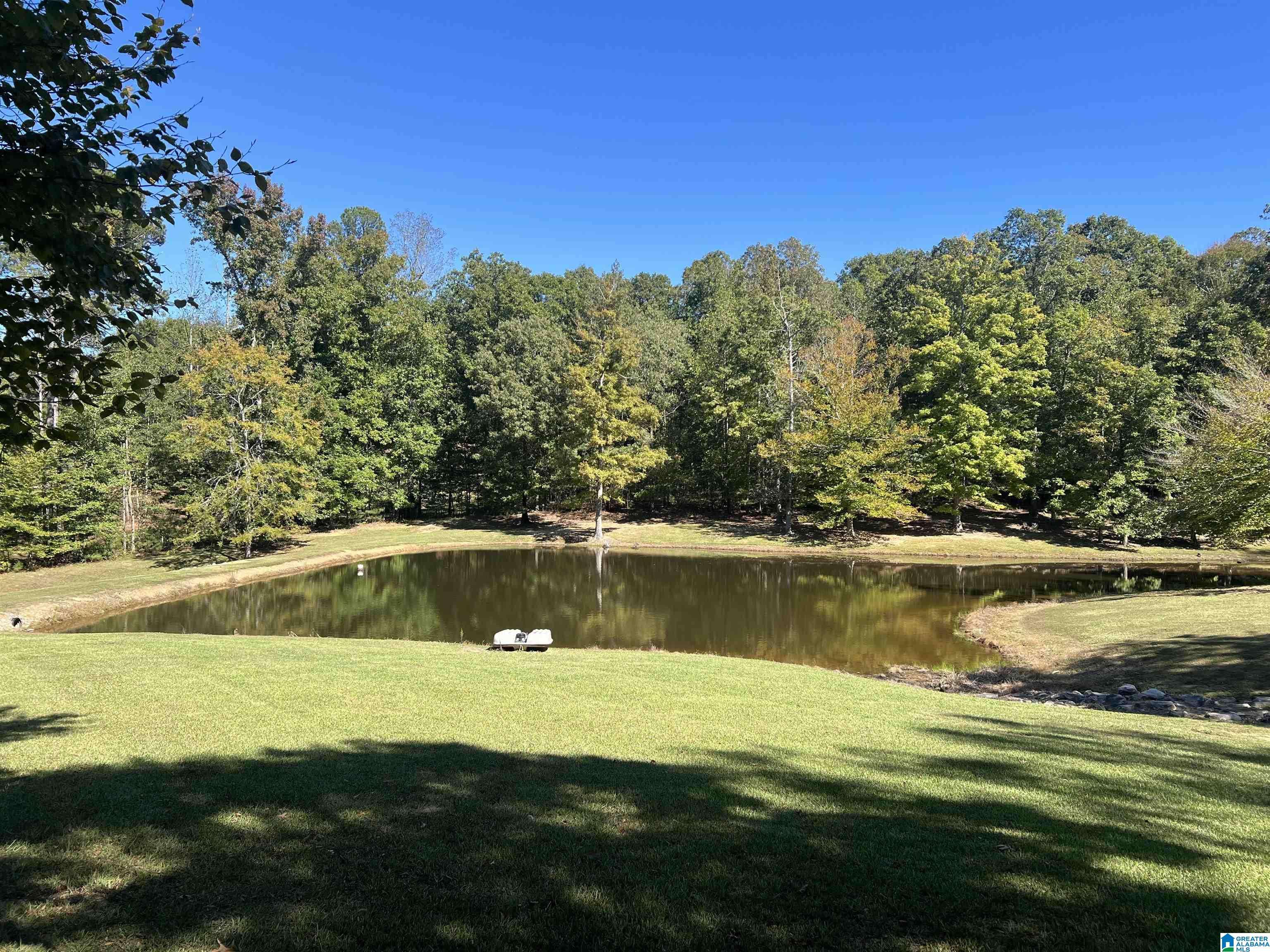 Crane Hill, AL 35053,535 COUNTY ROAD 871
