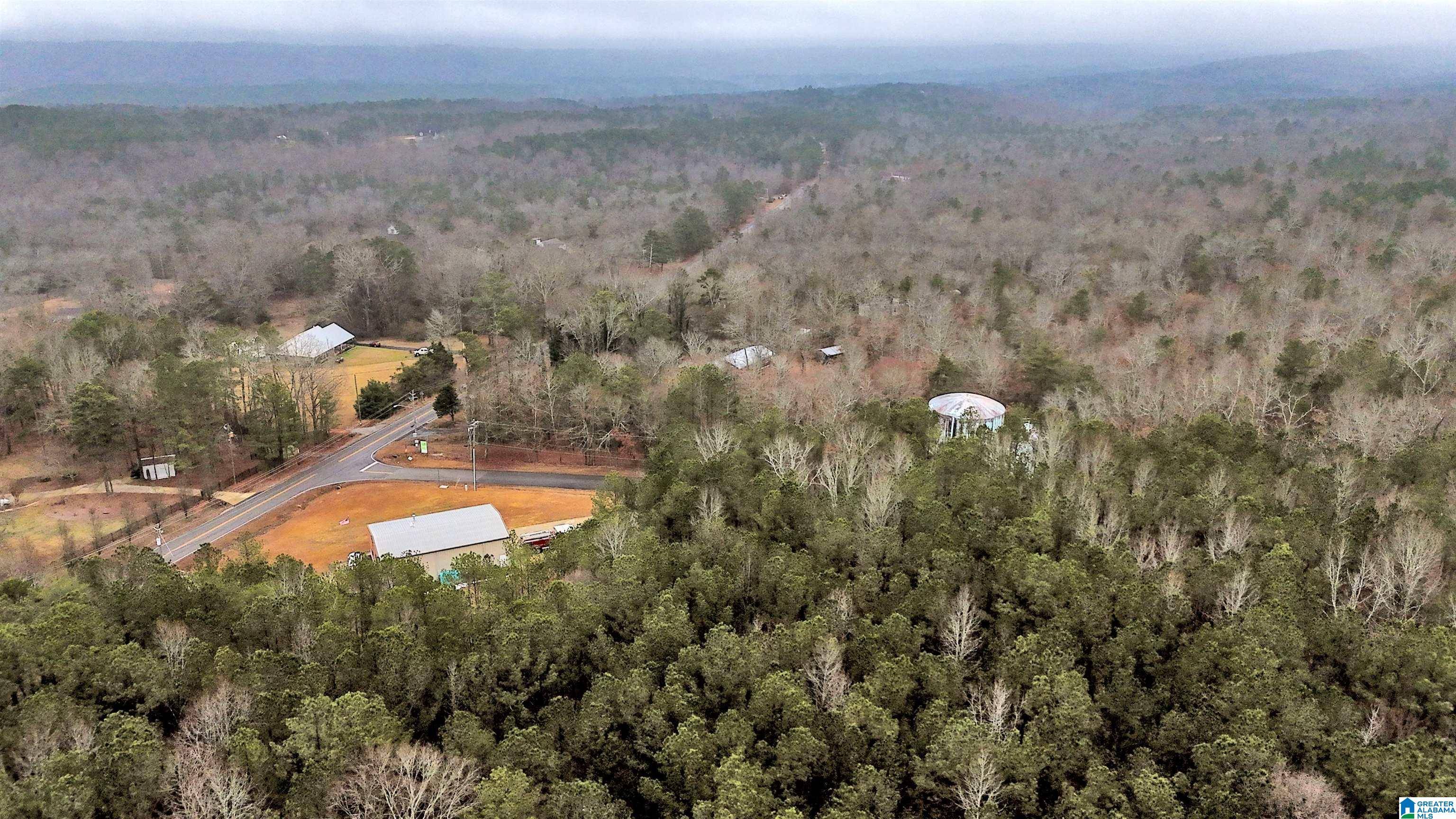 Springville, AL 35146,0 FERN CREEK DRIVE #0