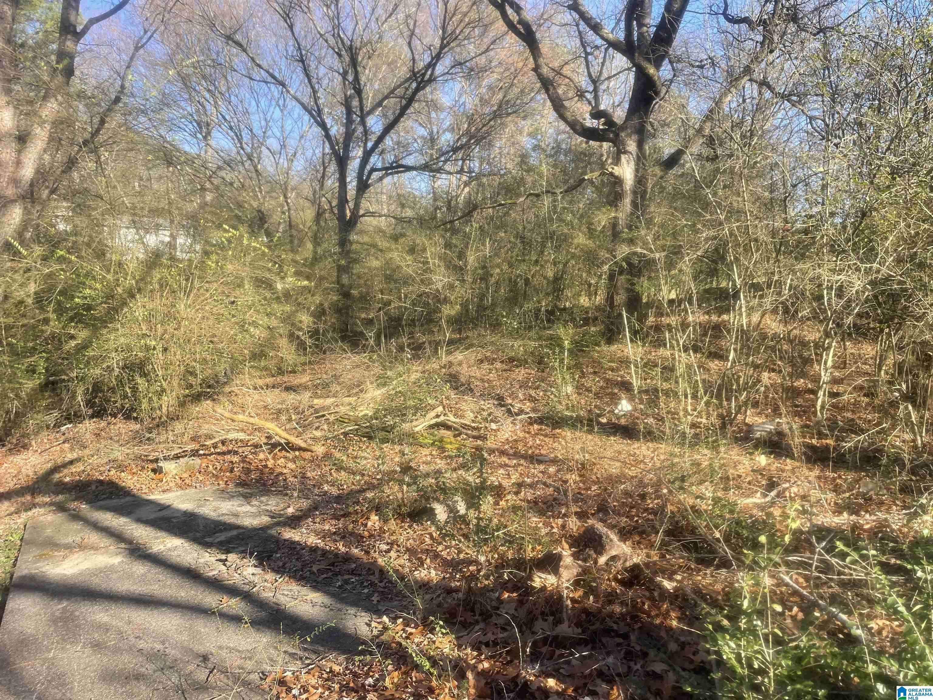 Pinson, AL 35146,6476 KIMBERLY LOOP #132